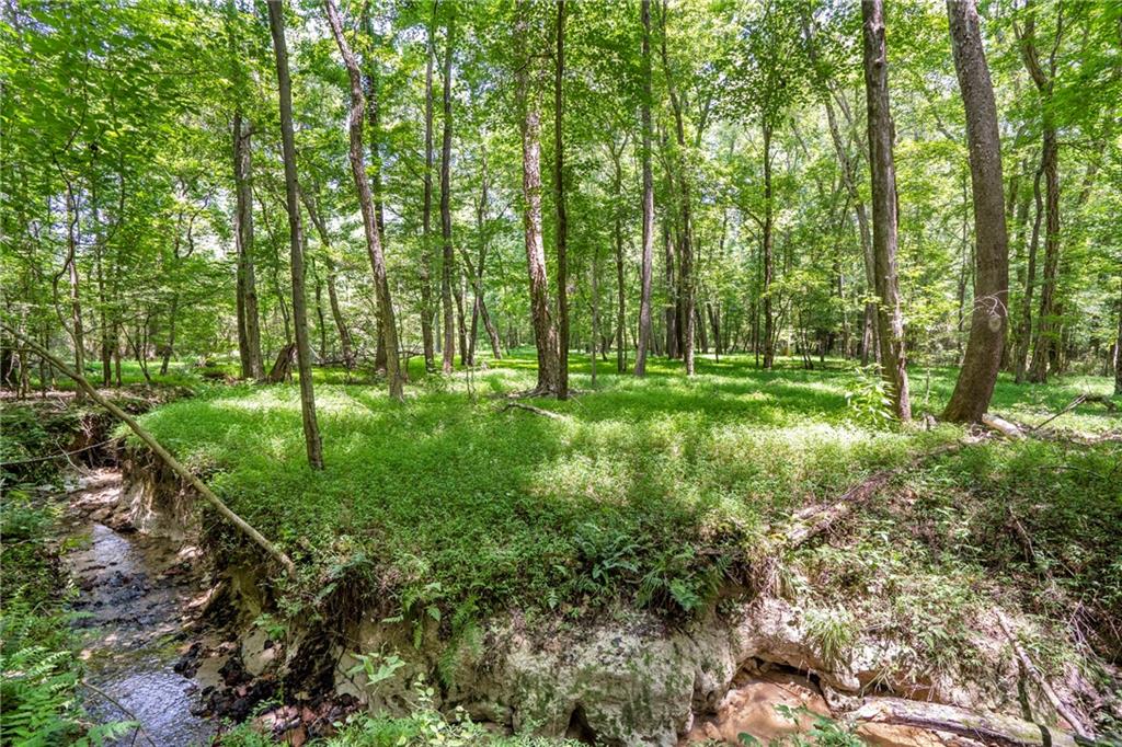 533 Mulberry Road Winder, GA 30680 - Photo 29 of 30