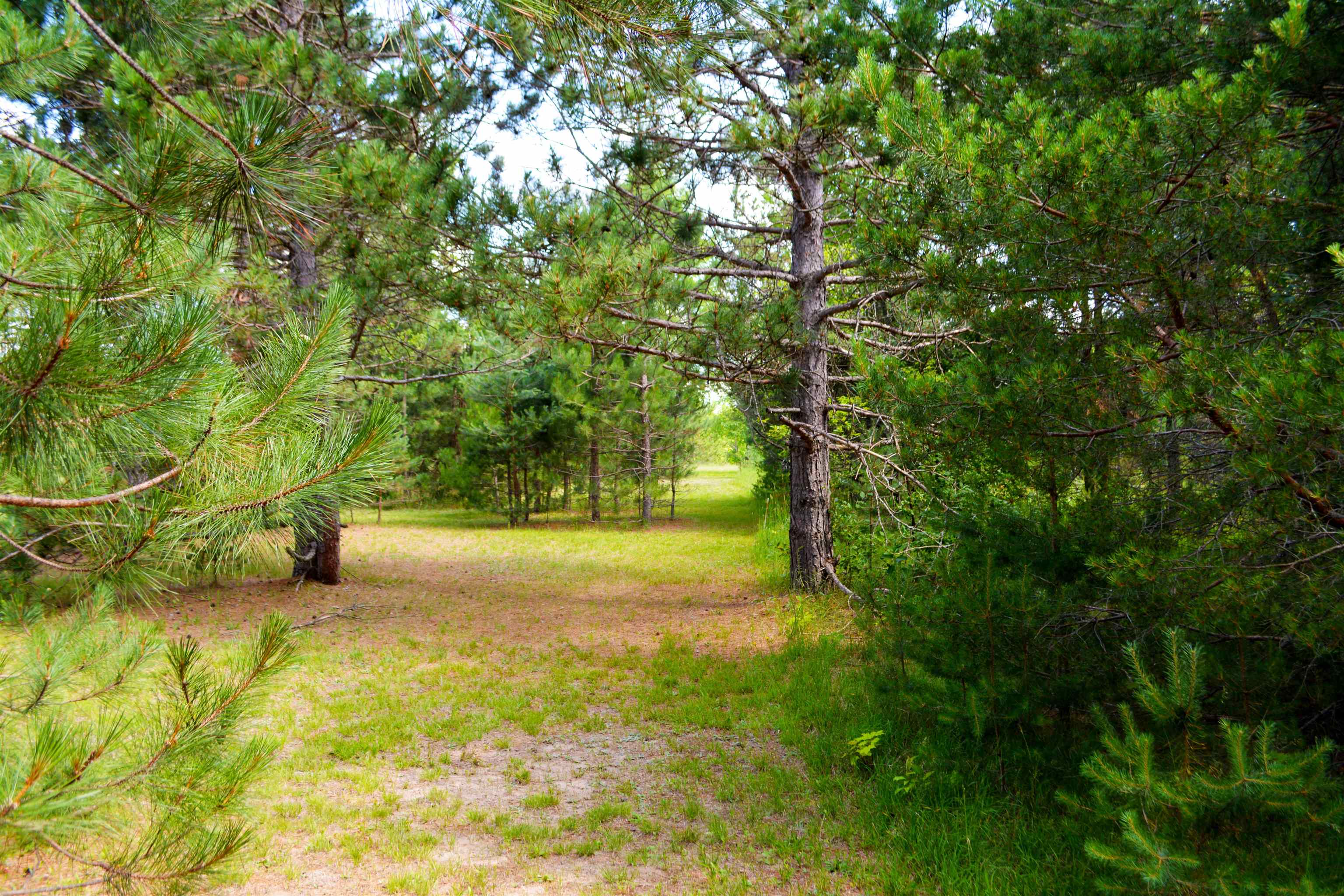 5483 Myers Road Northeast Kalkaska, MI 49646 - Photo 4 of 29 1913372-3.JPG