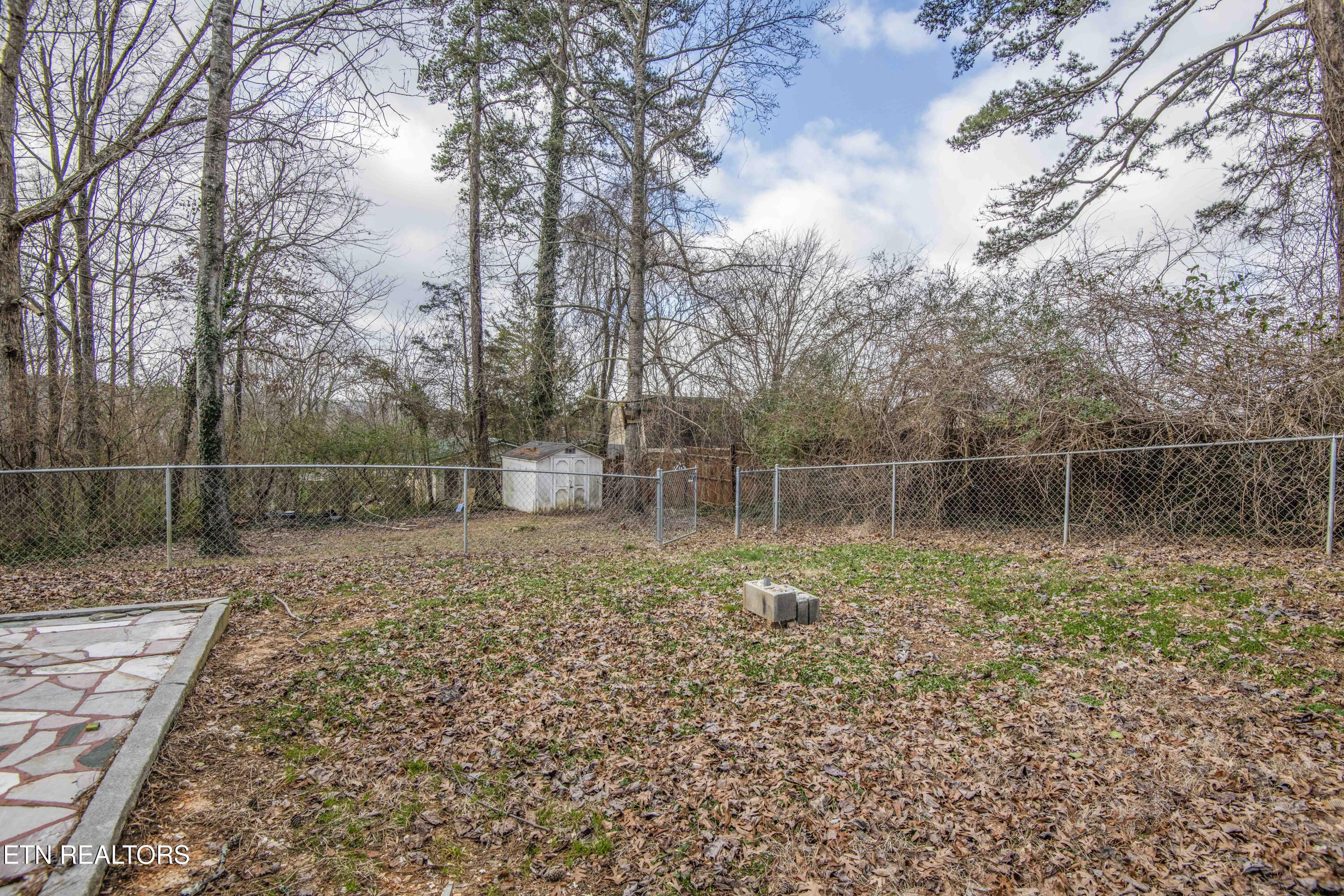 110 Paine Lane Oak Ridge, TN 37830 - Photo 32 of 37 yard 1_1