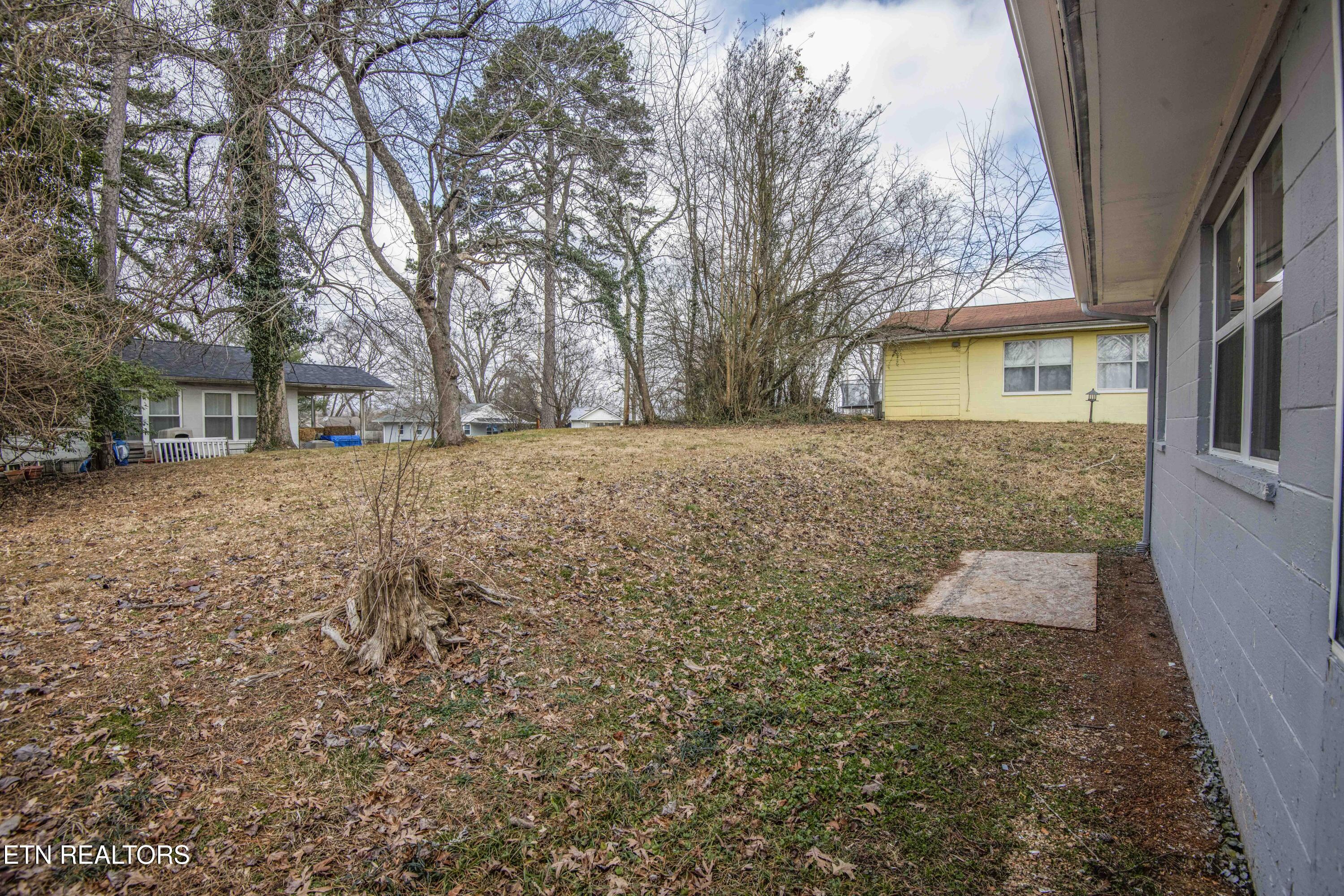 110 Paine Lane Oak Ridge, TN 37830 - Photo 33 of 37 yard 2_1