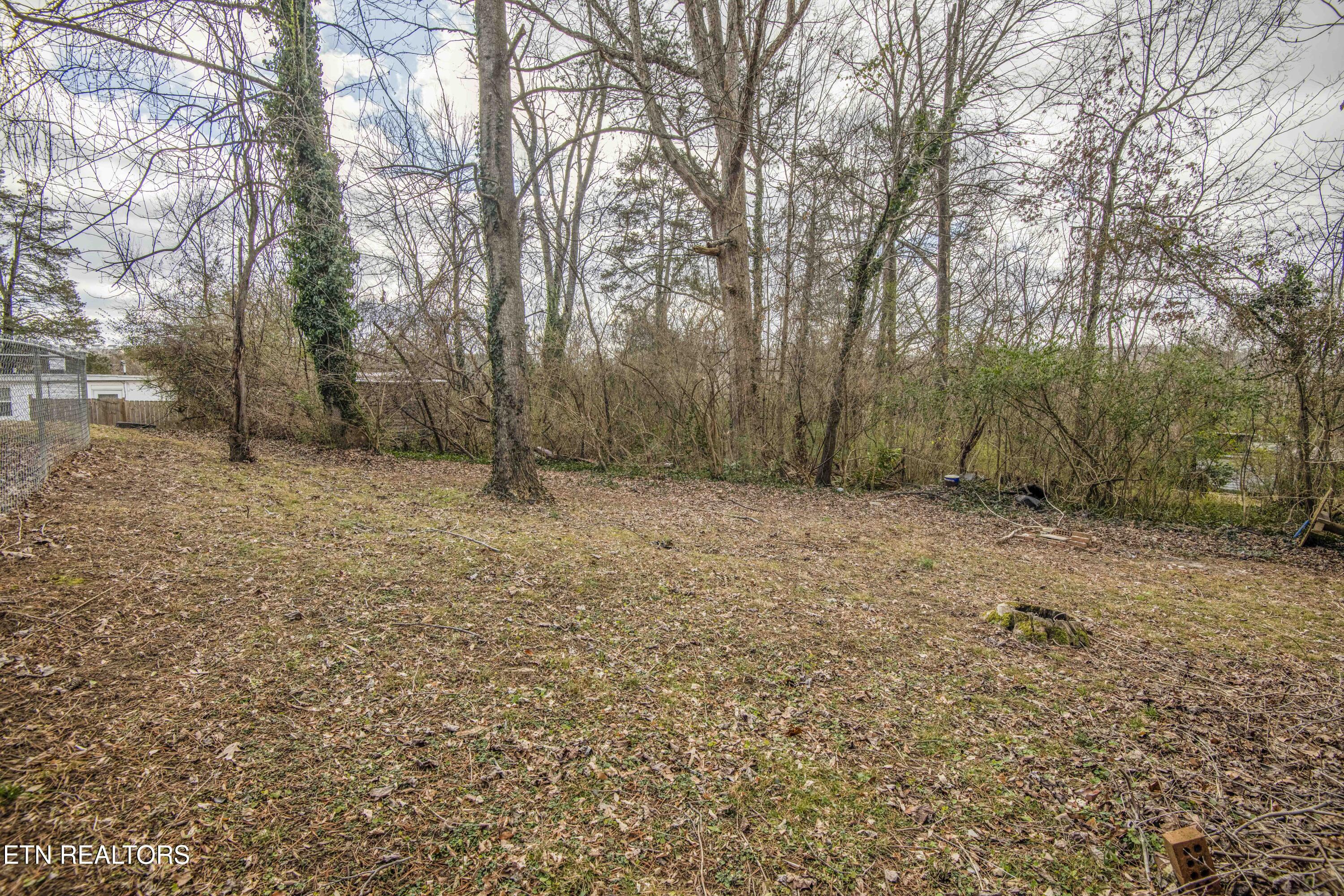 110 Paine Lane Oak Ridge, TN 37830 - Photo 36 of 37 yard 5_1