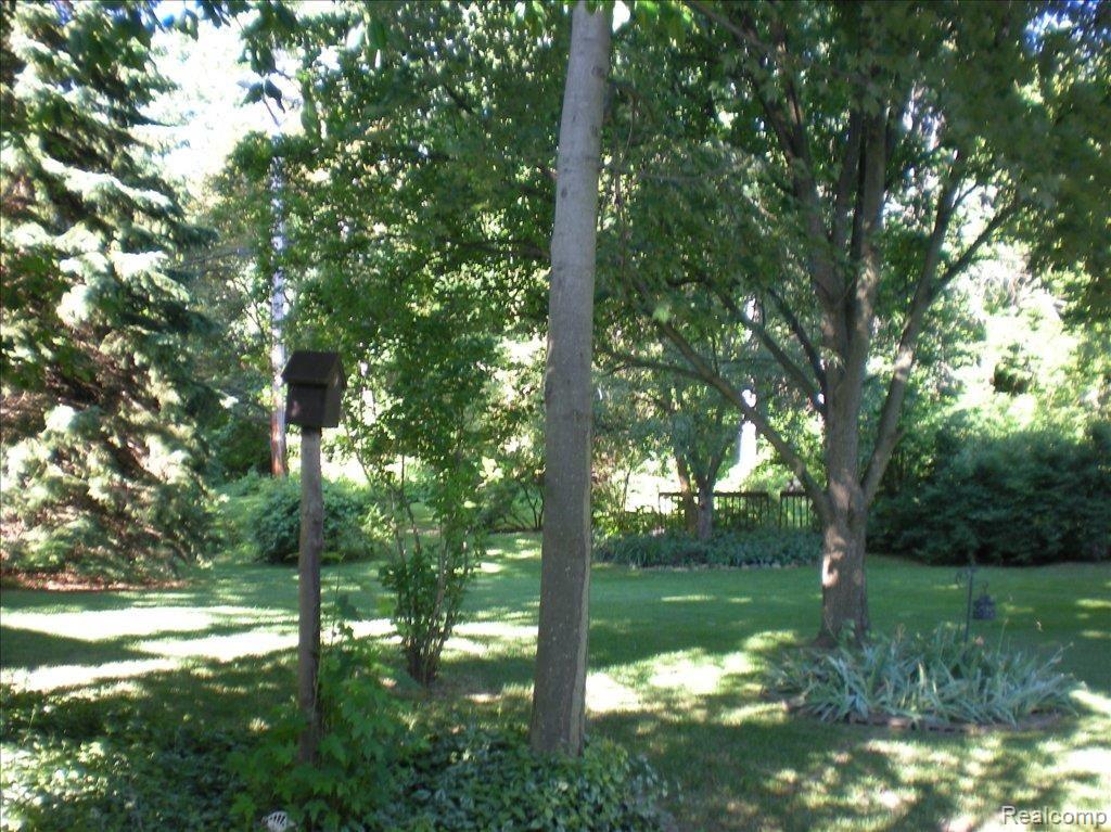 941 Medinah Drive Rochester, MI 48309 - Photo 15 of 15 941 Medinah View of yard