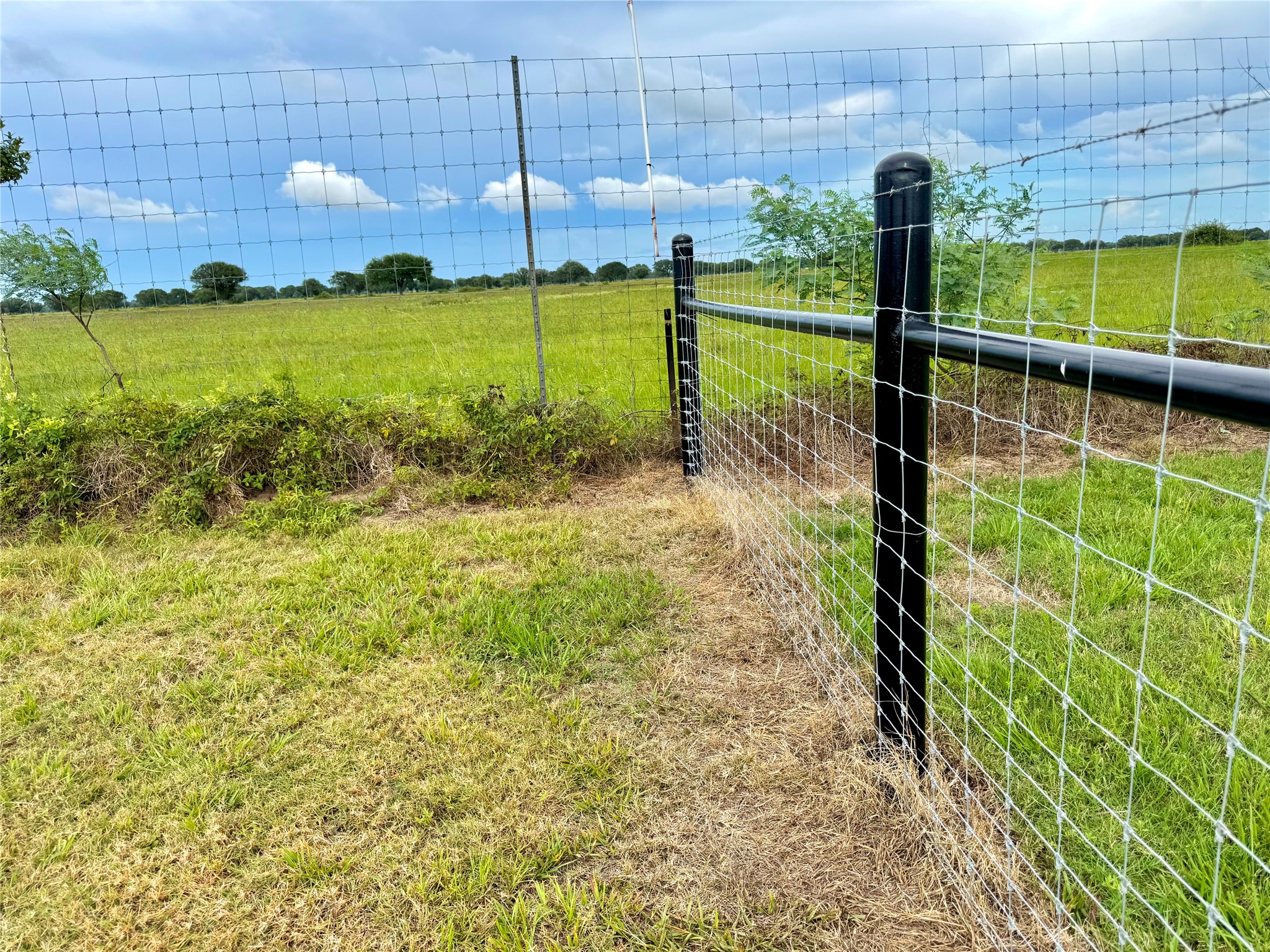 105 Pin Tail Lane Columbus, TX 78934 - Photo 3 of 14 a view of a garden