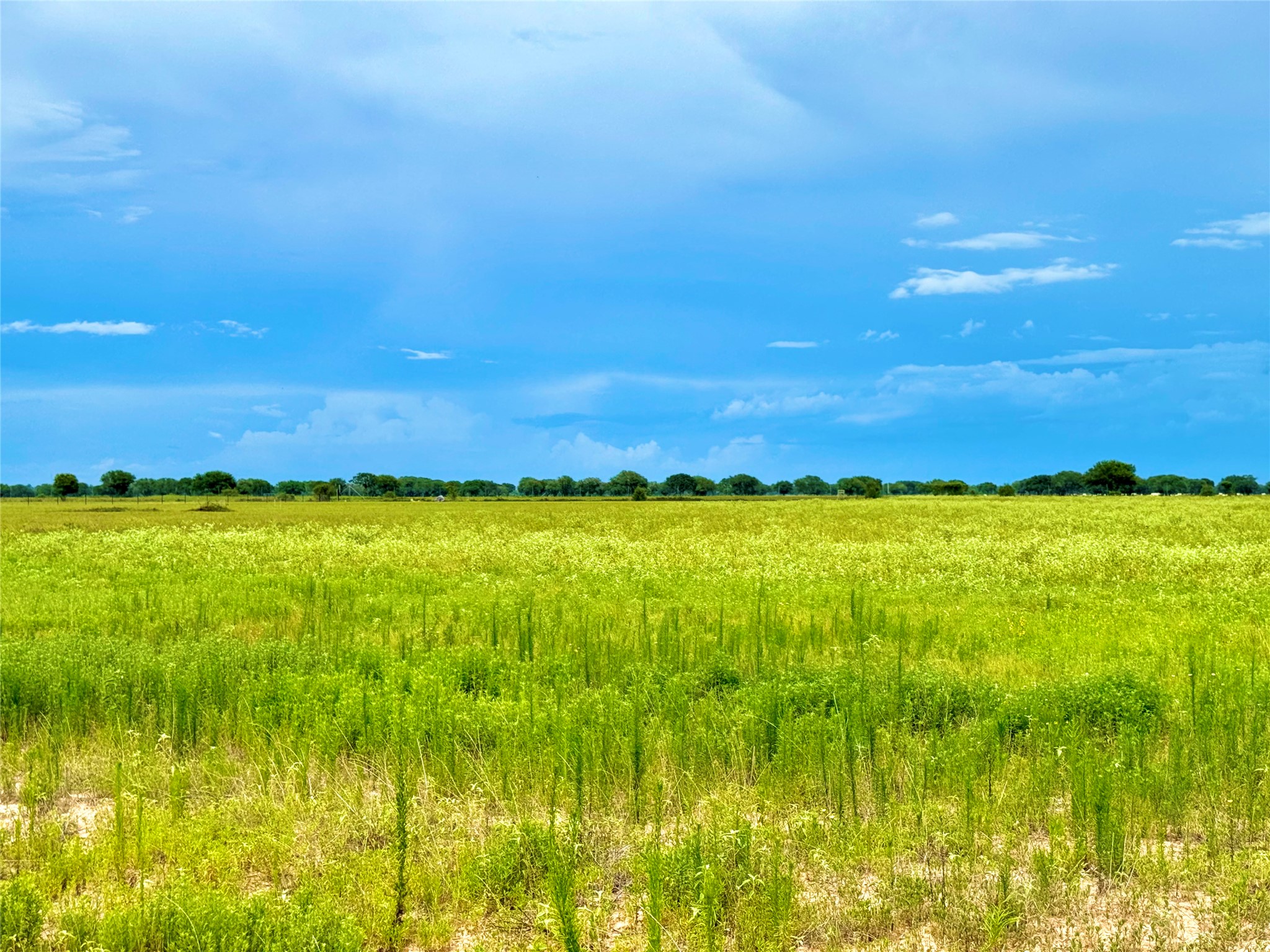 105 Pin Tail Lane Columbus, TX 78934 - Photo 4 of 14 a view of an ocean from a city