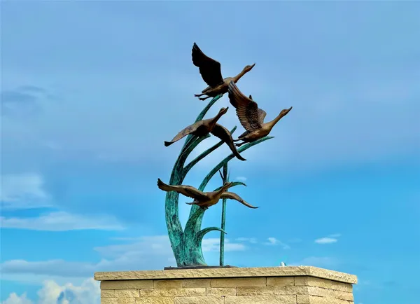 a view of light bulb