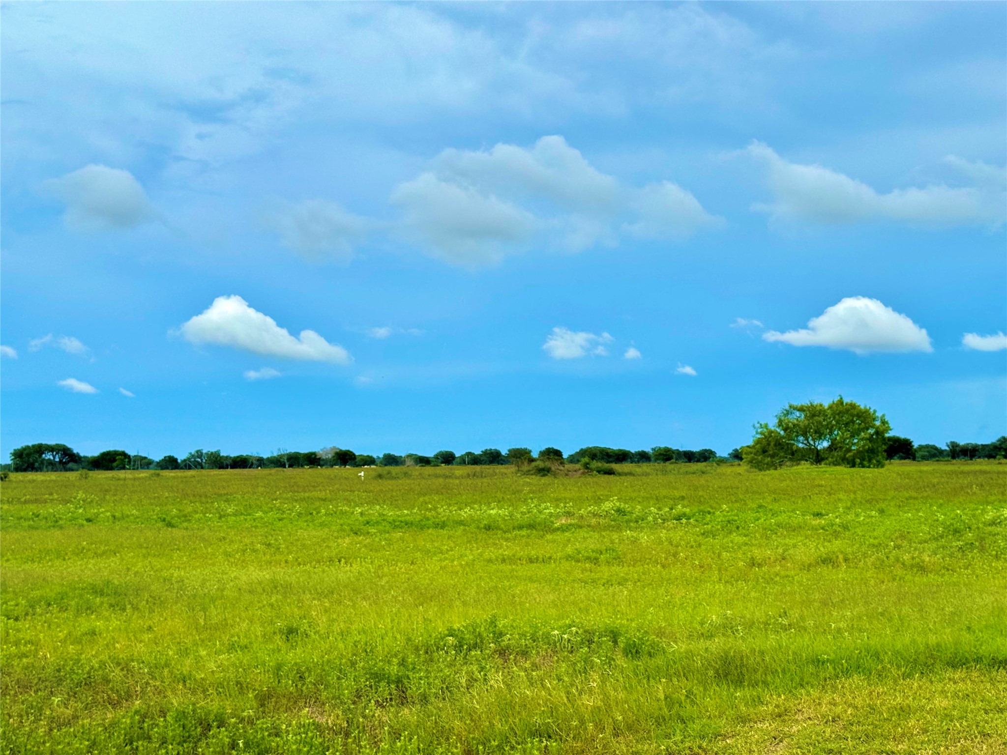 105 Pin Tail Lane Columbus, TX 78934 - Photo 8 of 14 a view of an ocean and beach