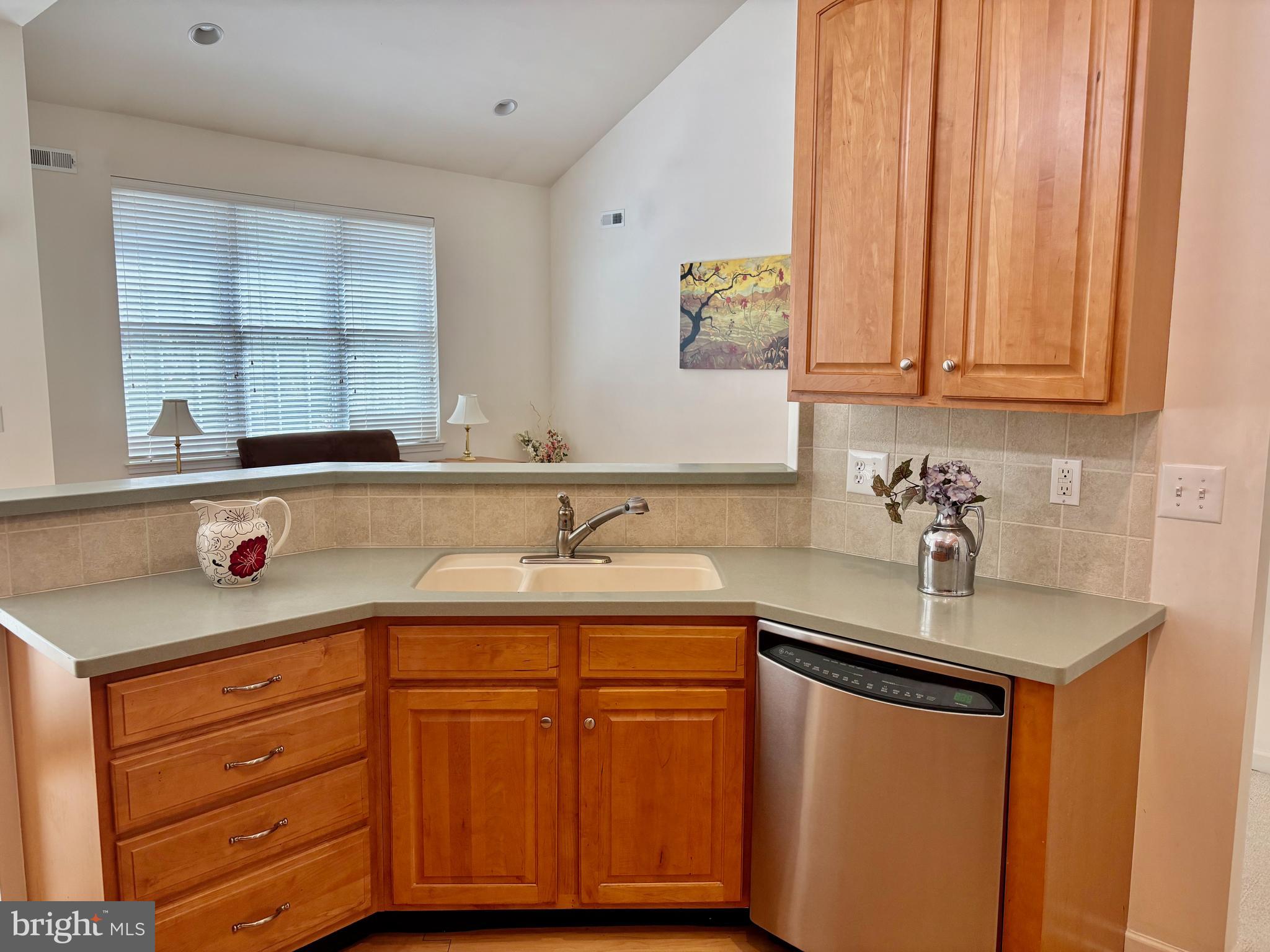 165 Einstein Way Cranbury, NJ 08512 - Photo 6 of 37 a kitchen with a sink and cabinets