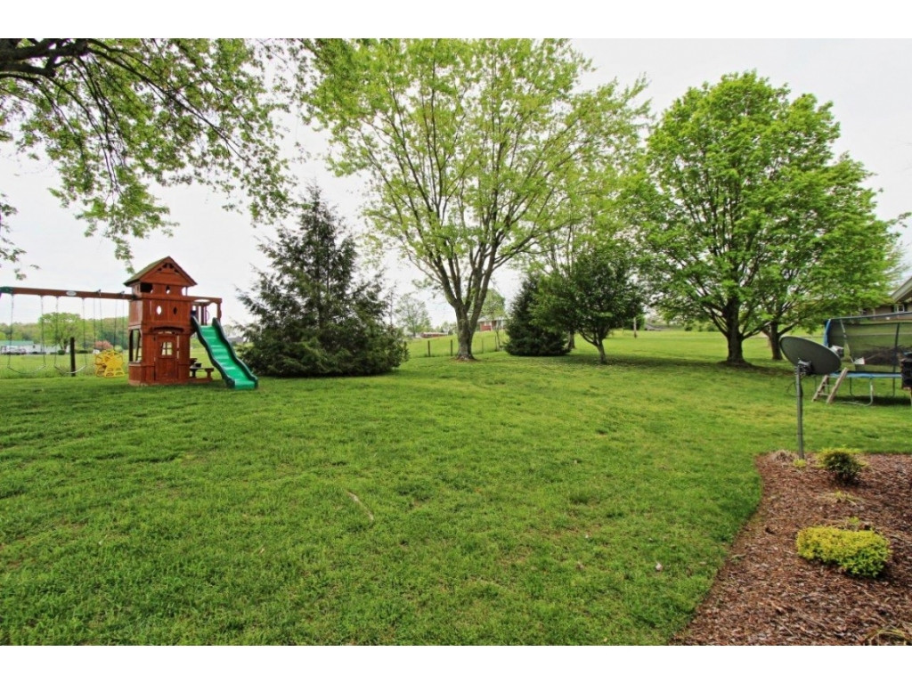249 Douglas Chapel Road Jonesborough, TN 37659 - Photo 11 of 12 Back Yard