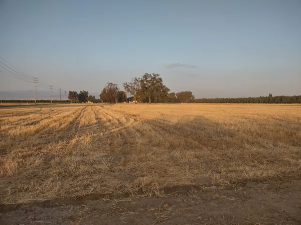 $1,746,000 | Lovers Lane, Visalia, CA 93292