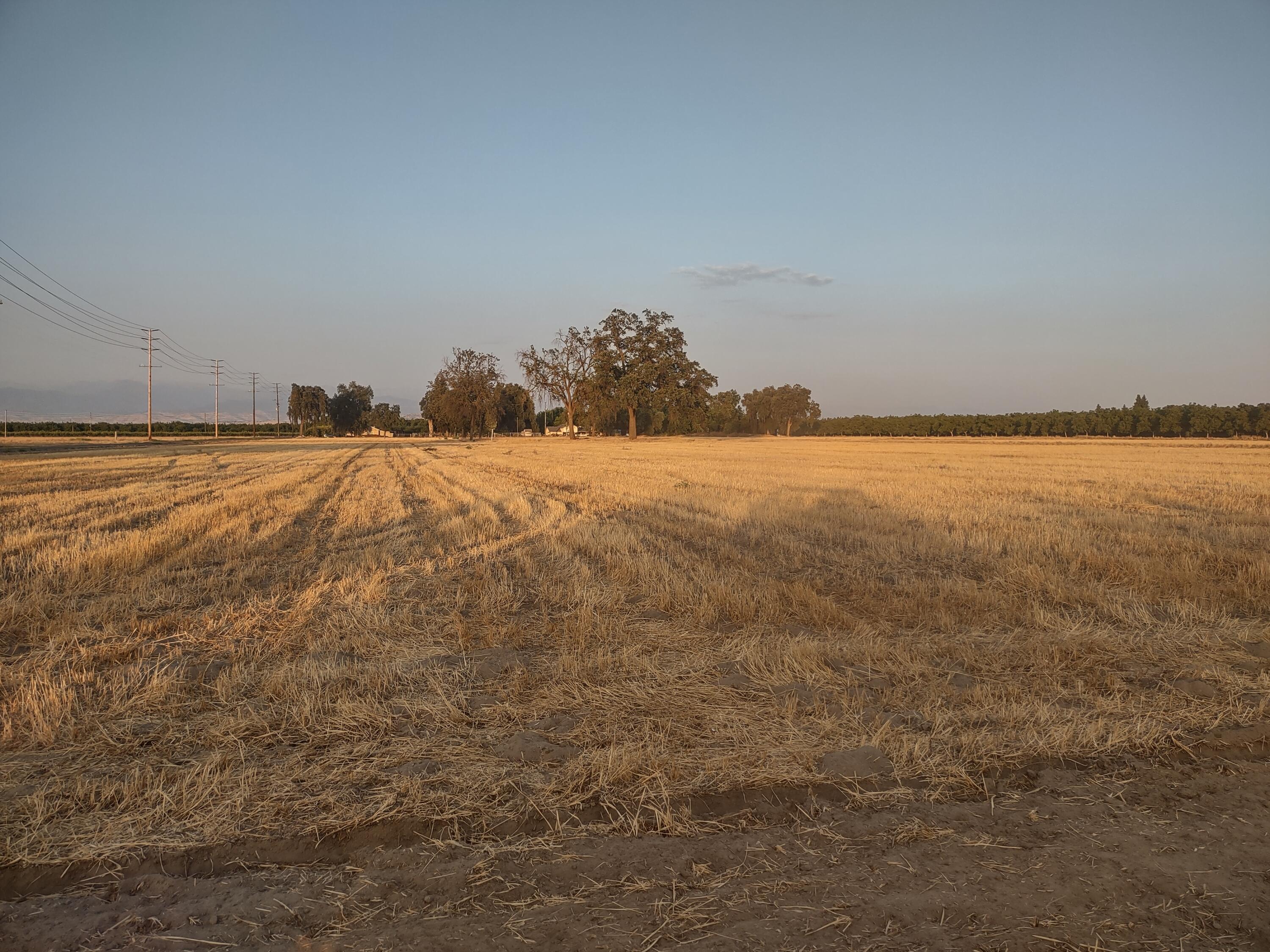Lovers Lane Visalia, CA 93292 - Photo 1 of 10 Lot