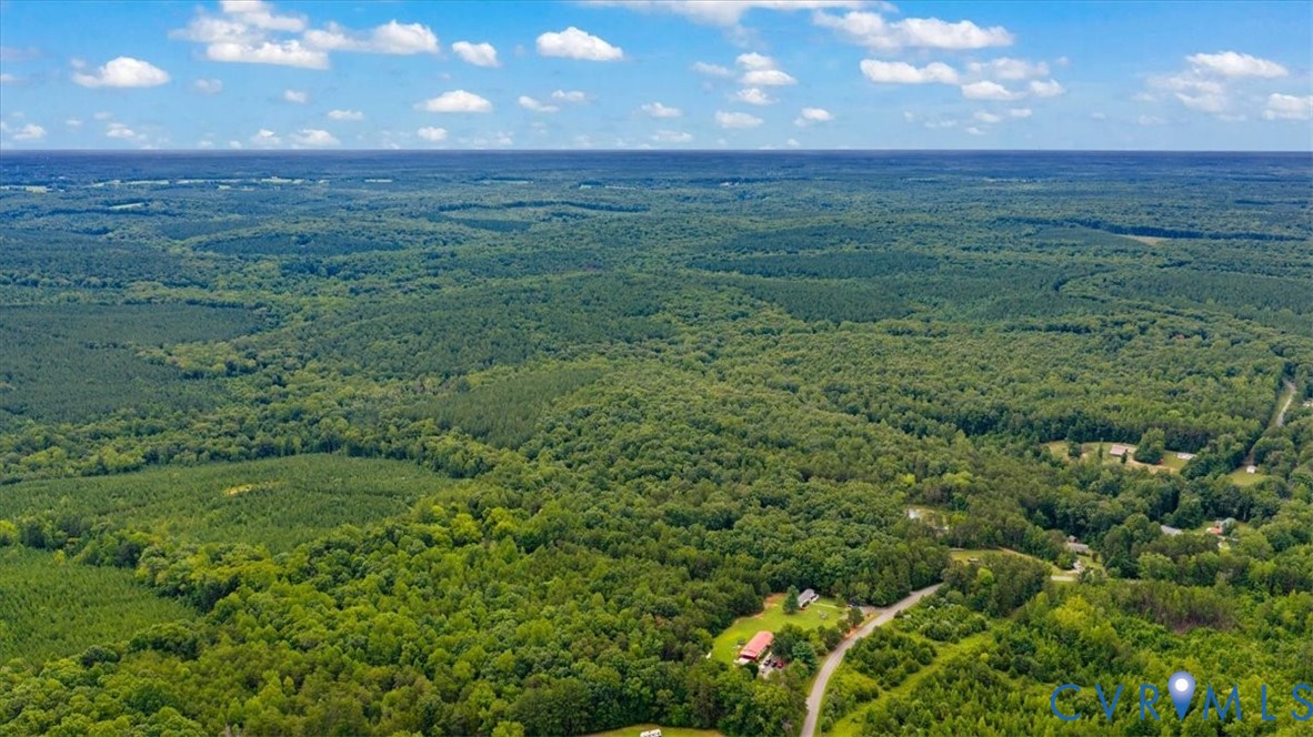0 Indian Spg Road Green Bay, VA 23942 - Photo 9 of 9 Expansive wooded landscape under a blue sky with s