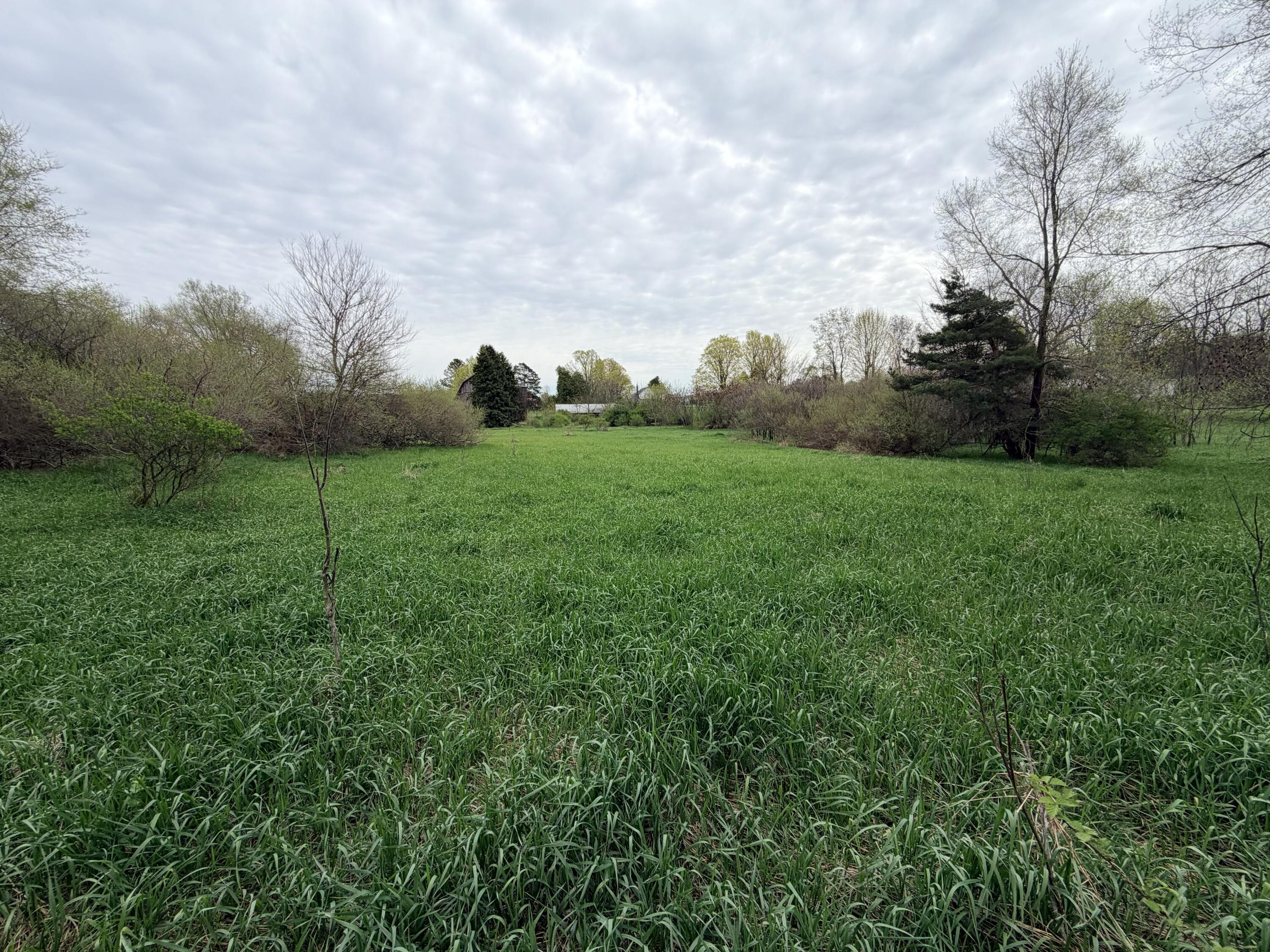 1734 East Wilson Road Custer, MI 49405 - Photo 5 of 24 1734 E Wilson Rd