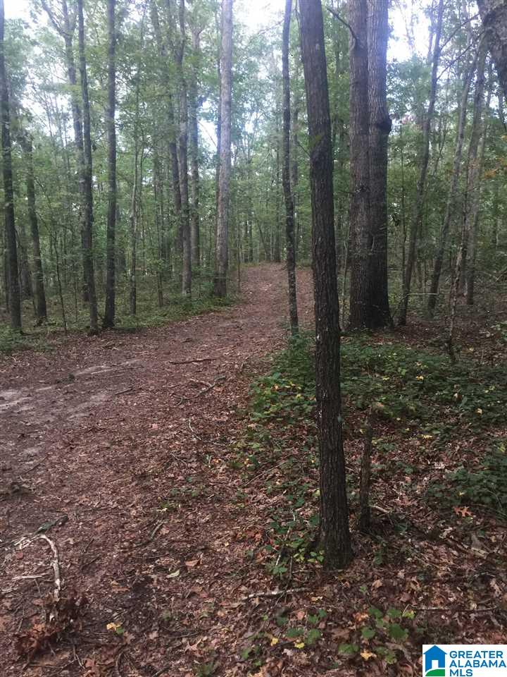 241 Sulphur Springs Road, Unit 9 89 ACRES Lincoln, AL 35096 - Photo 37 of 44