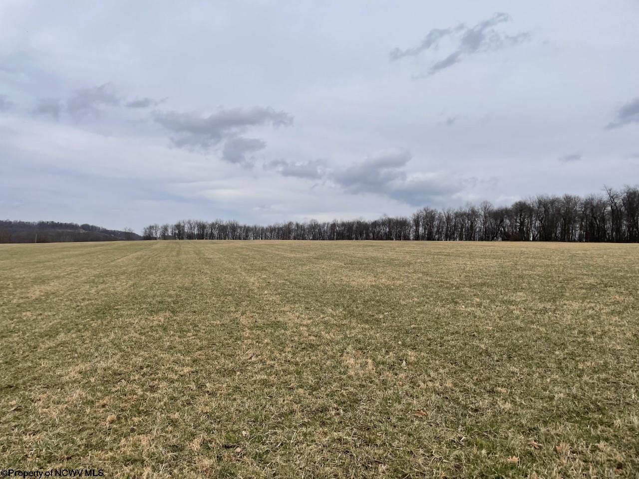 3229 B Coal Lick Road Albright, WV 26519 - Photo 6 of 7 Gallery Image 6
