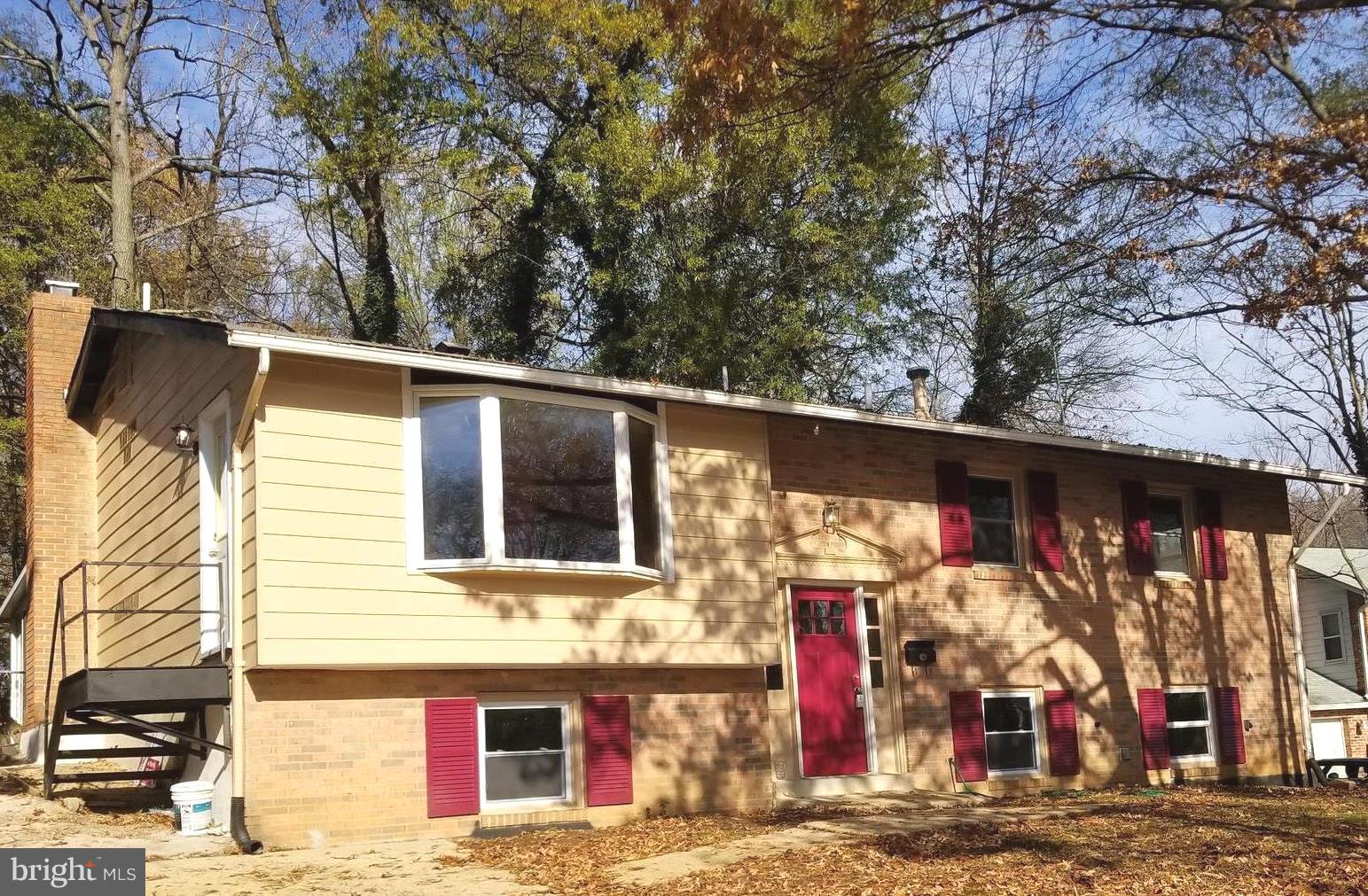a view of road with large tree