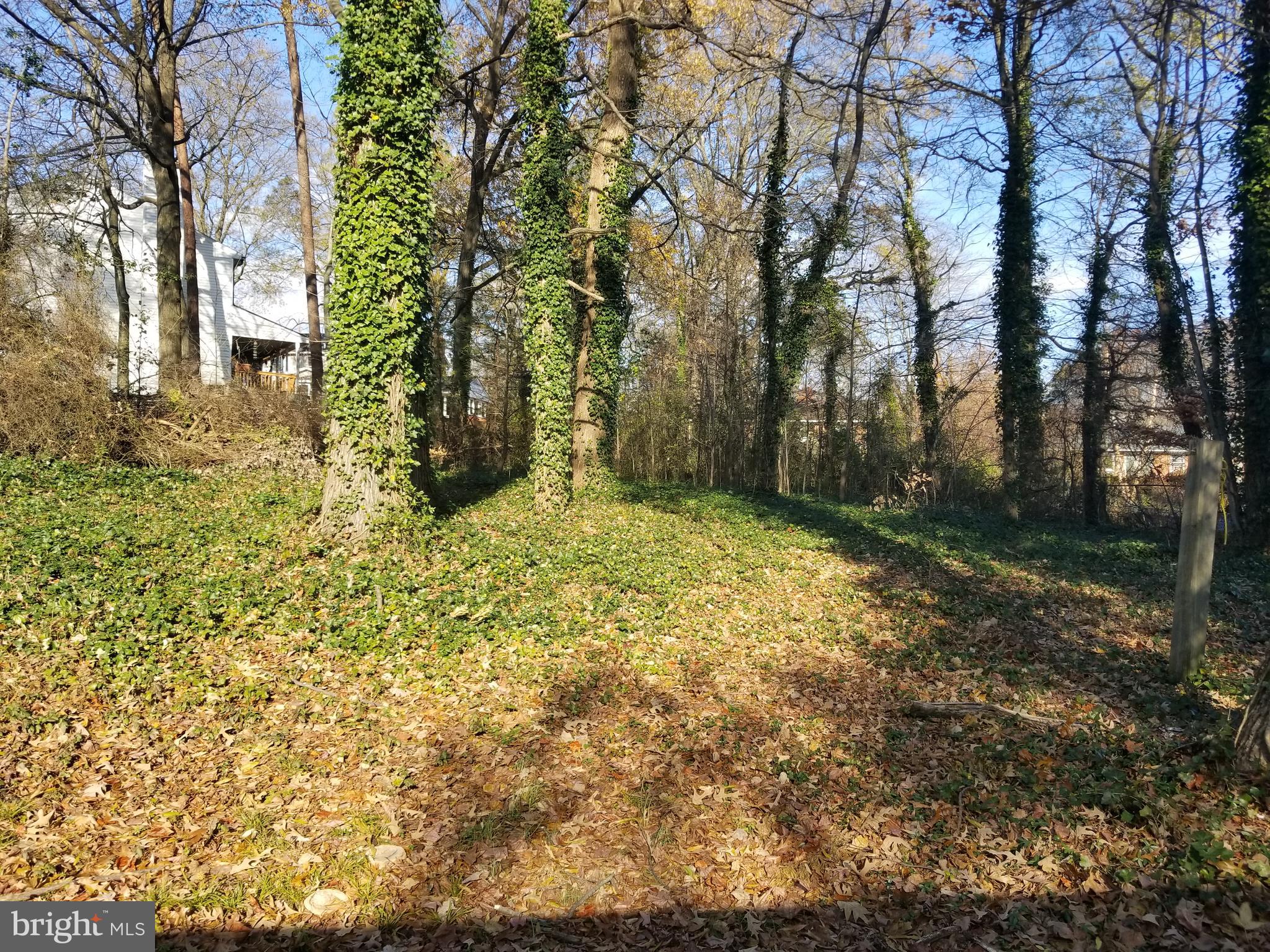 2708 Rambler Place Adelphi, MD 20783 - Photo 39 of 41 a view of a yard with trees