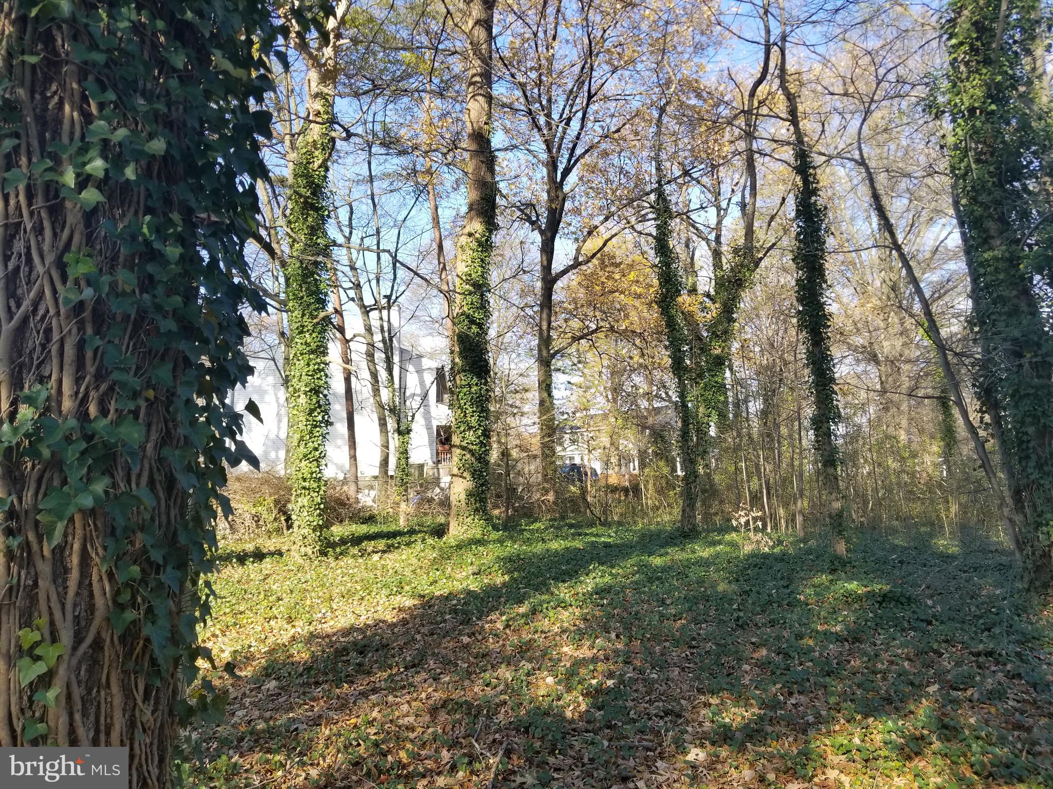 2708 Rambler Place Adelphi, MD 20783 - Photo 41 of 41 a view of backyard with green space