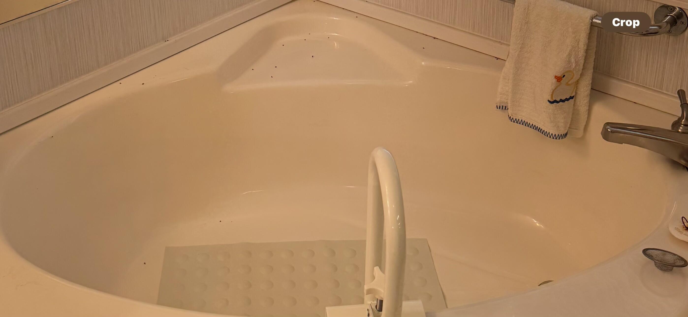 2917 Mock Road Augusta, GA 30909 - Photo 13 of 15 OWNERS TUB