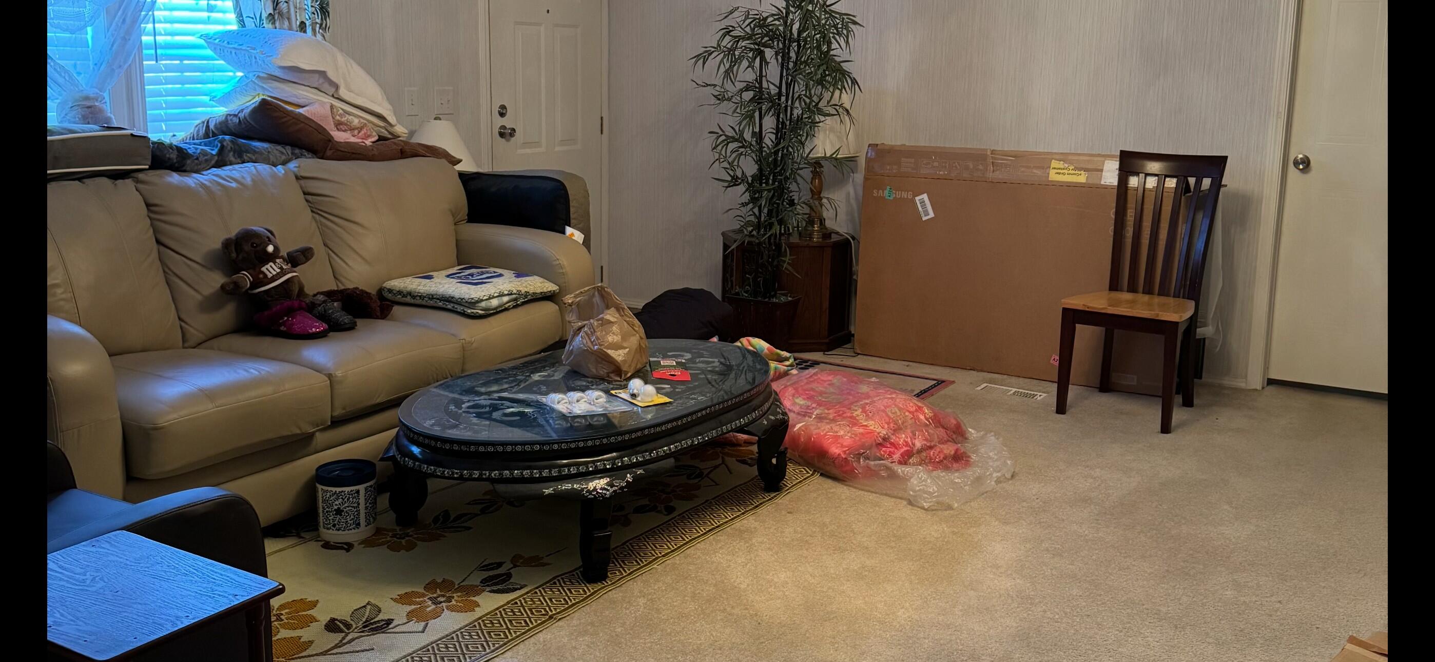 2917 Mock Road Augusta, GA 30909 - Photo 7 of 15 LIVING ROOM