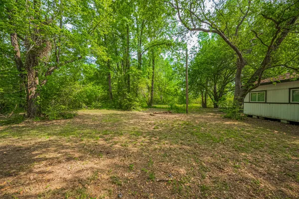 a view of a yard with a tree