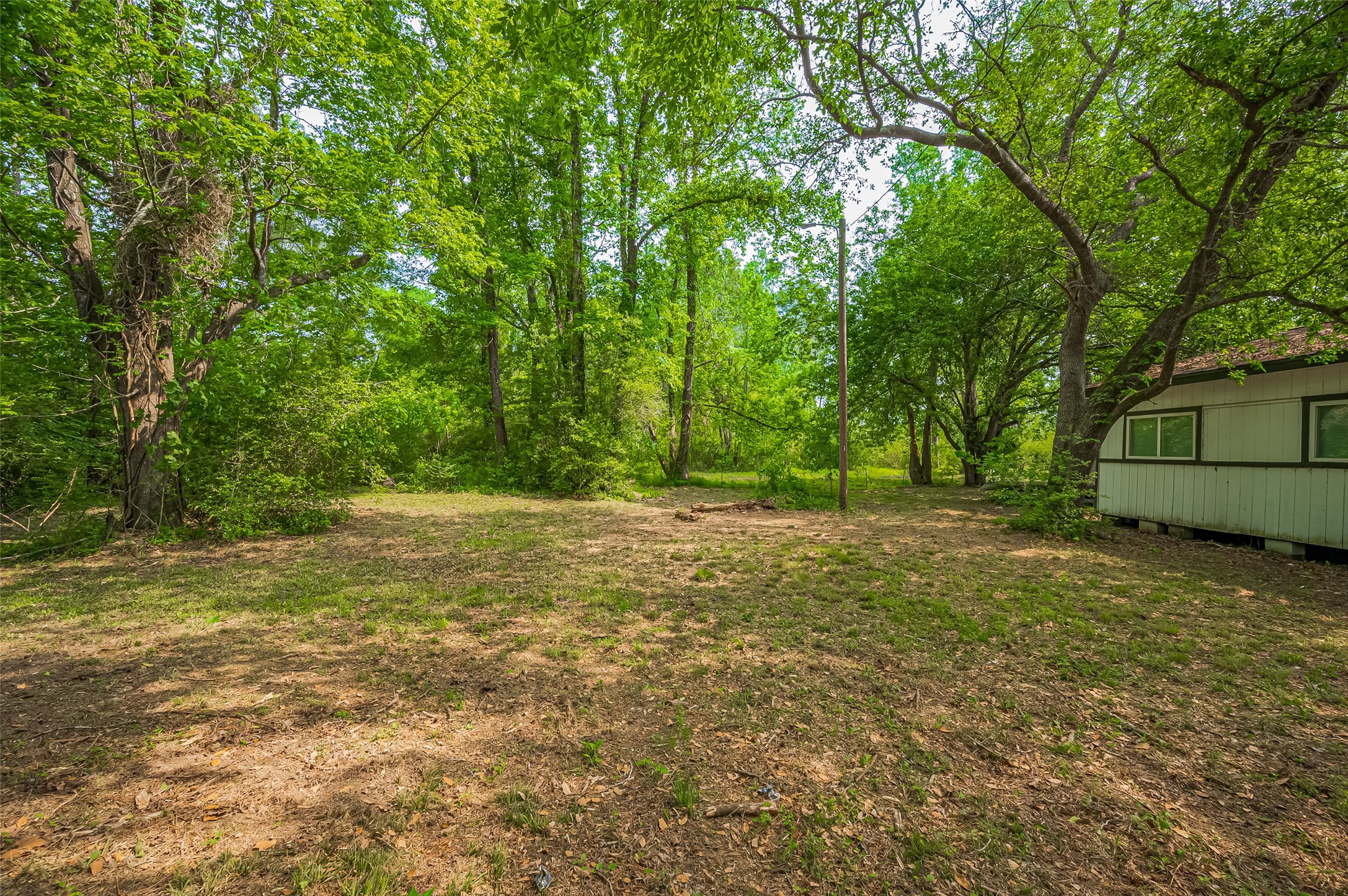 523 County Road 2073 Hull, TX 77564 - Photo 11 of 13 a view of a yard with a tree