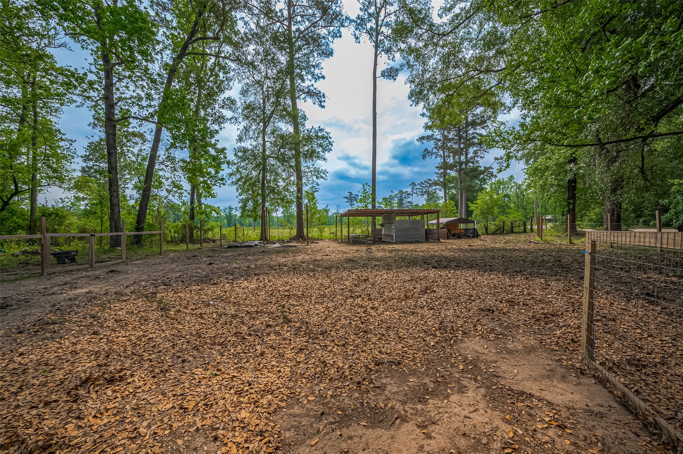 523 County Road 2073 Hull, TX 77564 - Photo 13 of 13 a view of road with tall trees