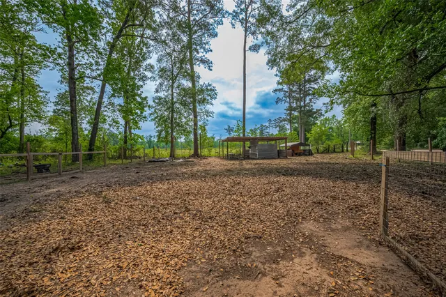 a view of road with tall trees