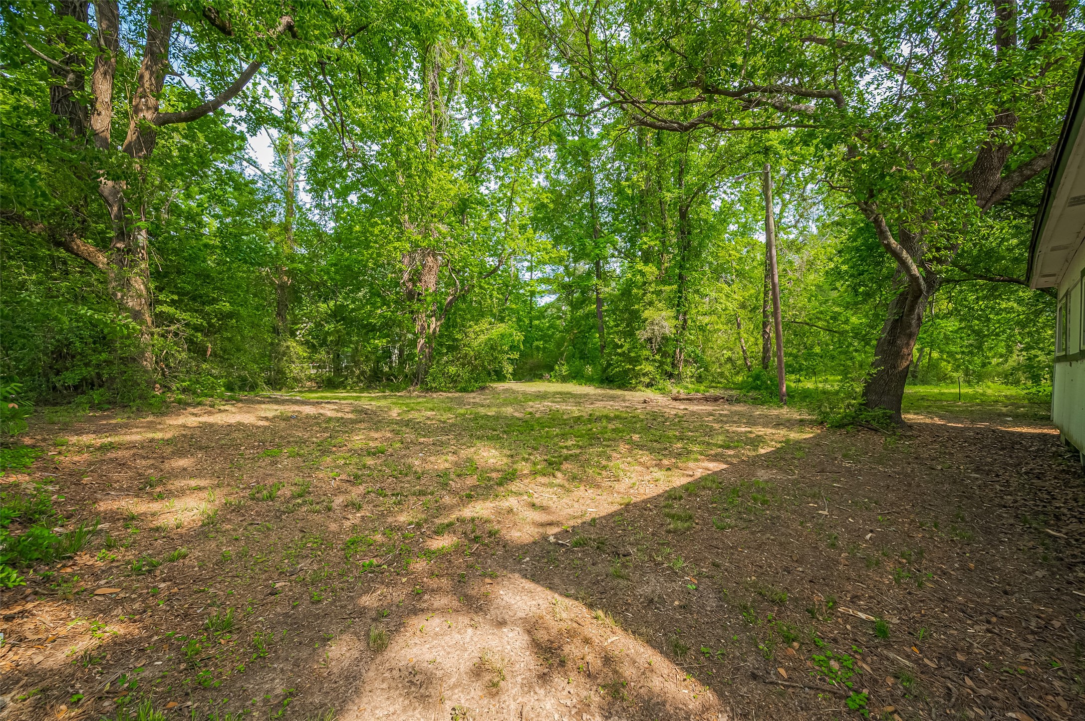 523 County Road 2073 Hull, TX 77564 - Photo 10 of 13 a view of outdoor space with trees