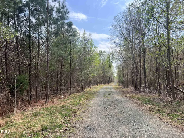 a view of backyard with green space