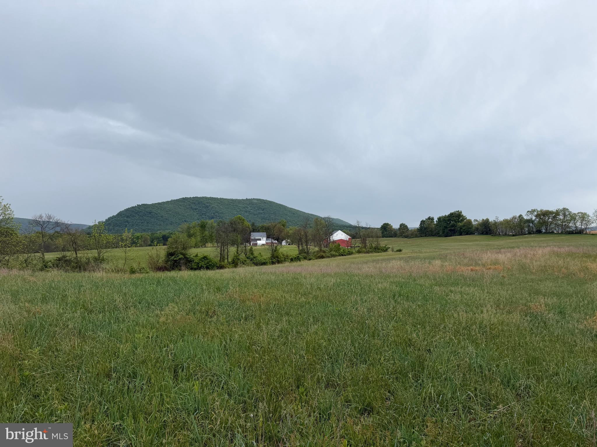 12591 Shimpstown Road Mercersburg, PA 17236 - Photo 61 of 147