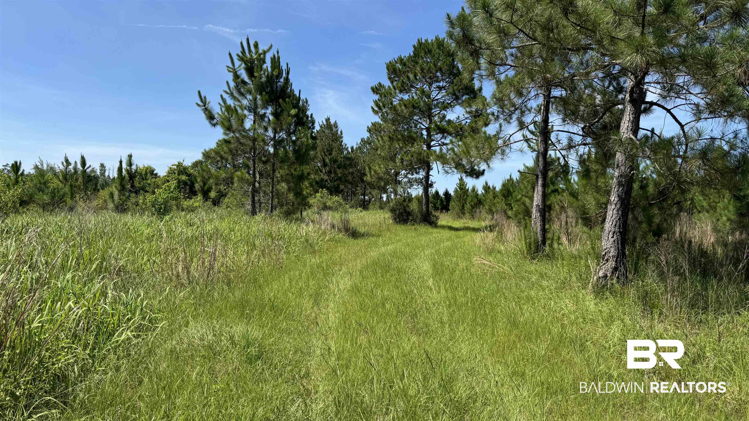 0 County Road 87 Elberta, AL 36530 - Photo 34 of 46
