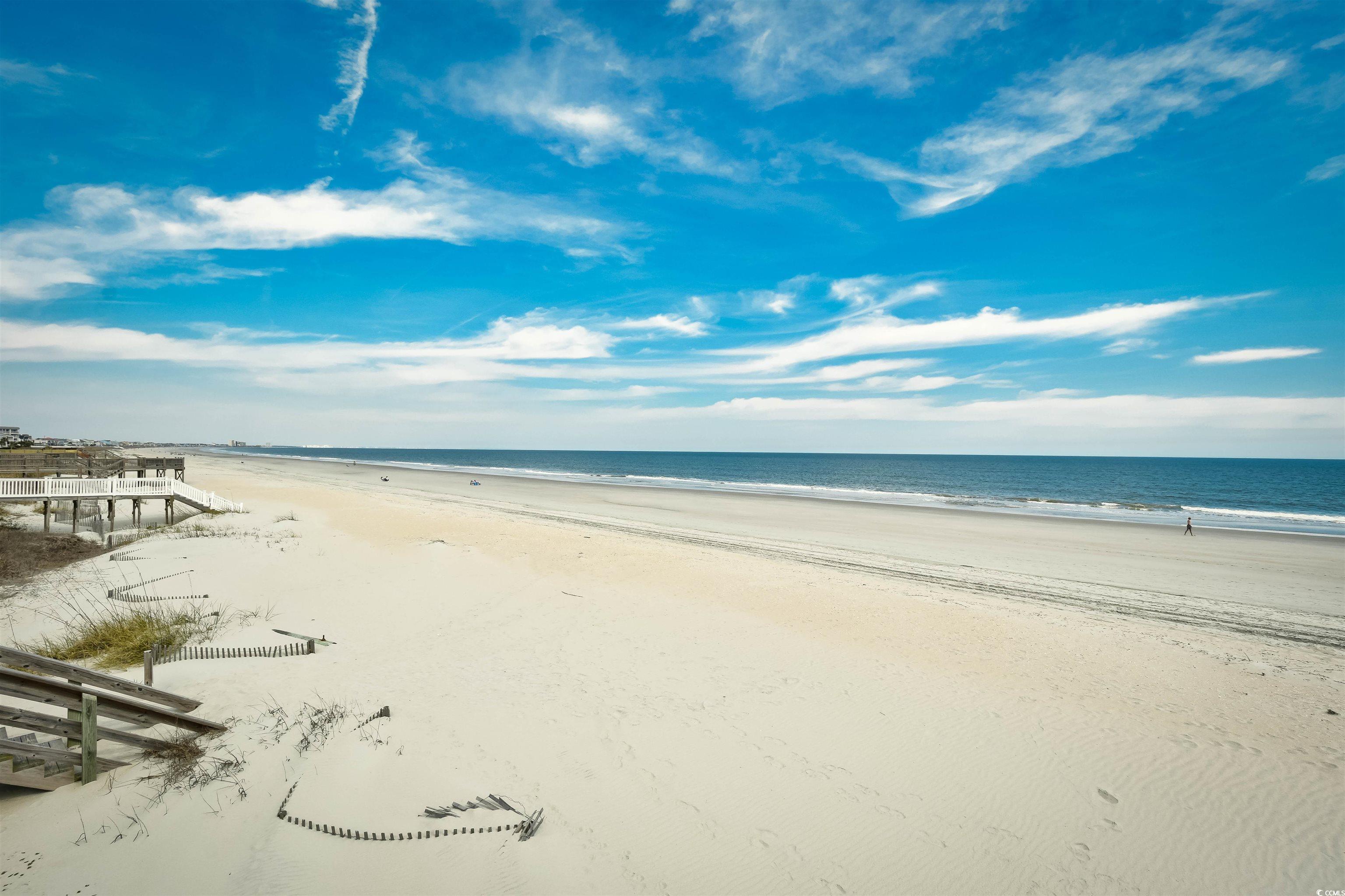 596 Trizzie Trail Murrells Inlet, SC 29576 - Photo 20 of 21 Water view with local beach