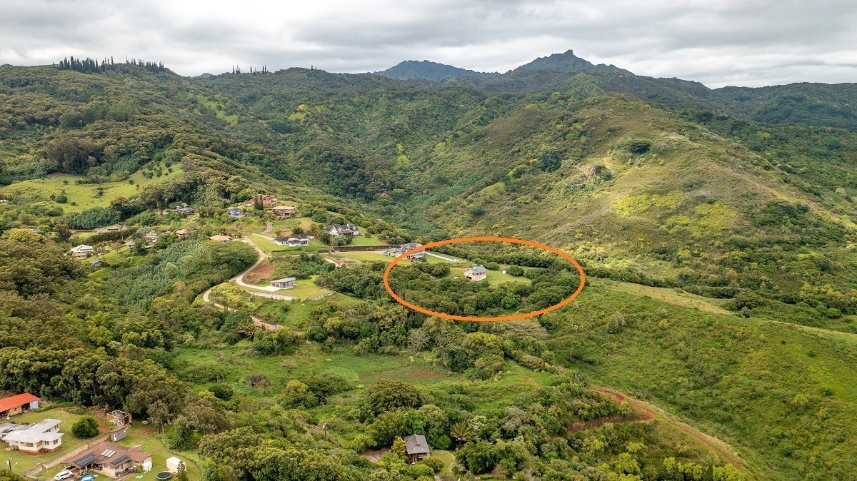 5495 A Puulima Road, Unit D Kalaheo, HI 96741 - Photo 1 of 24 a view of a mountain in the background
