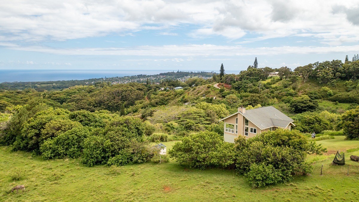 5495 A Puulima Road, Unit D Kalaheo, HI 96741 - Photo 14 of 24 a aerial view of a house with a yard