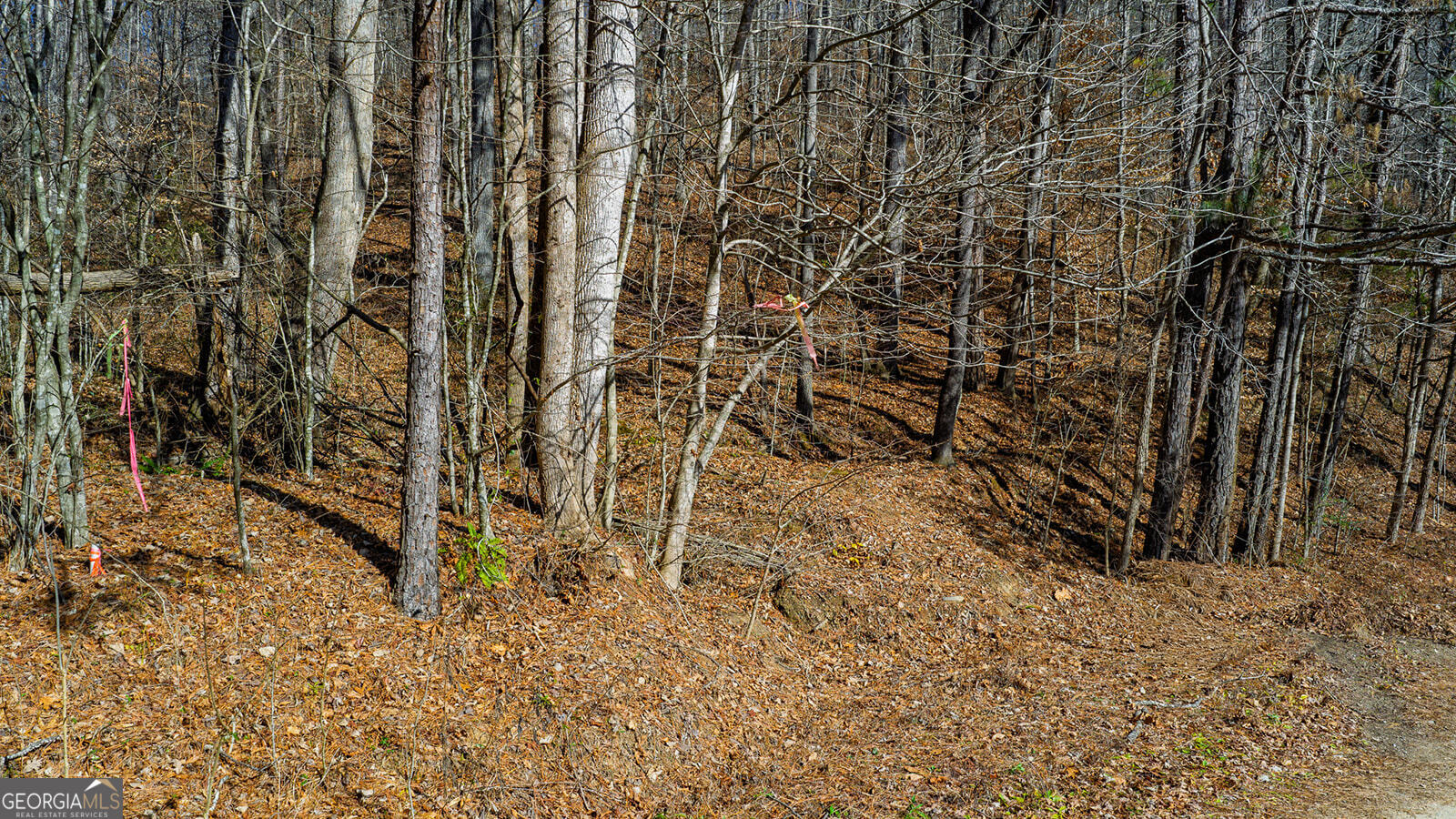 0 Rambling Road Fairmount, GA 30139 - Photo 1 of 15 a view of wooden fence