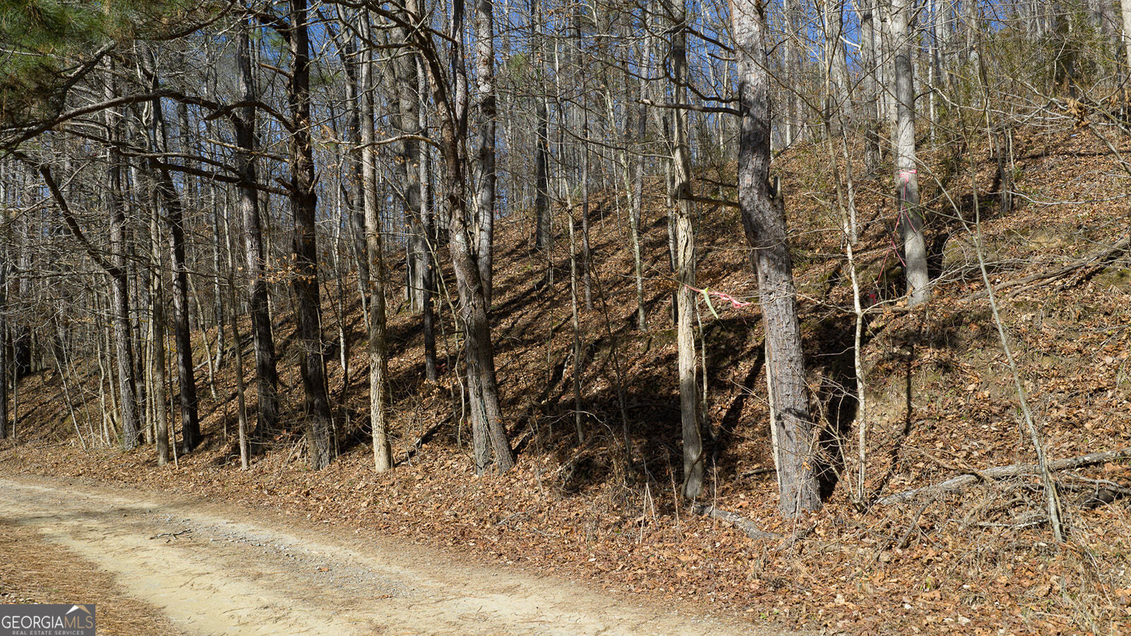 0 Rambling Road Fairmount, GA 30139 - Photo 12 of 15 a view of a yard with trees
