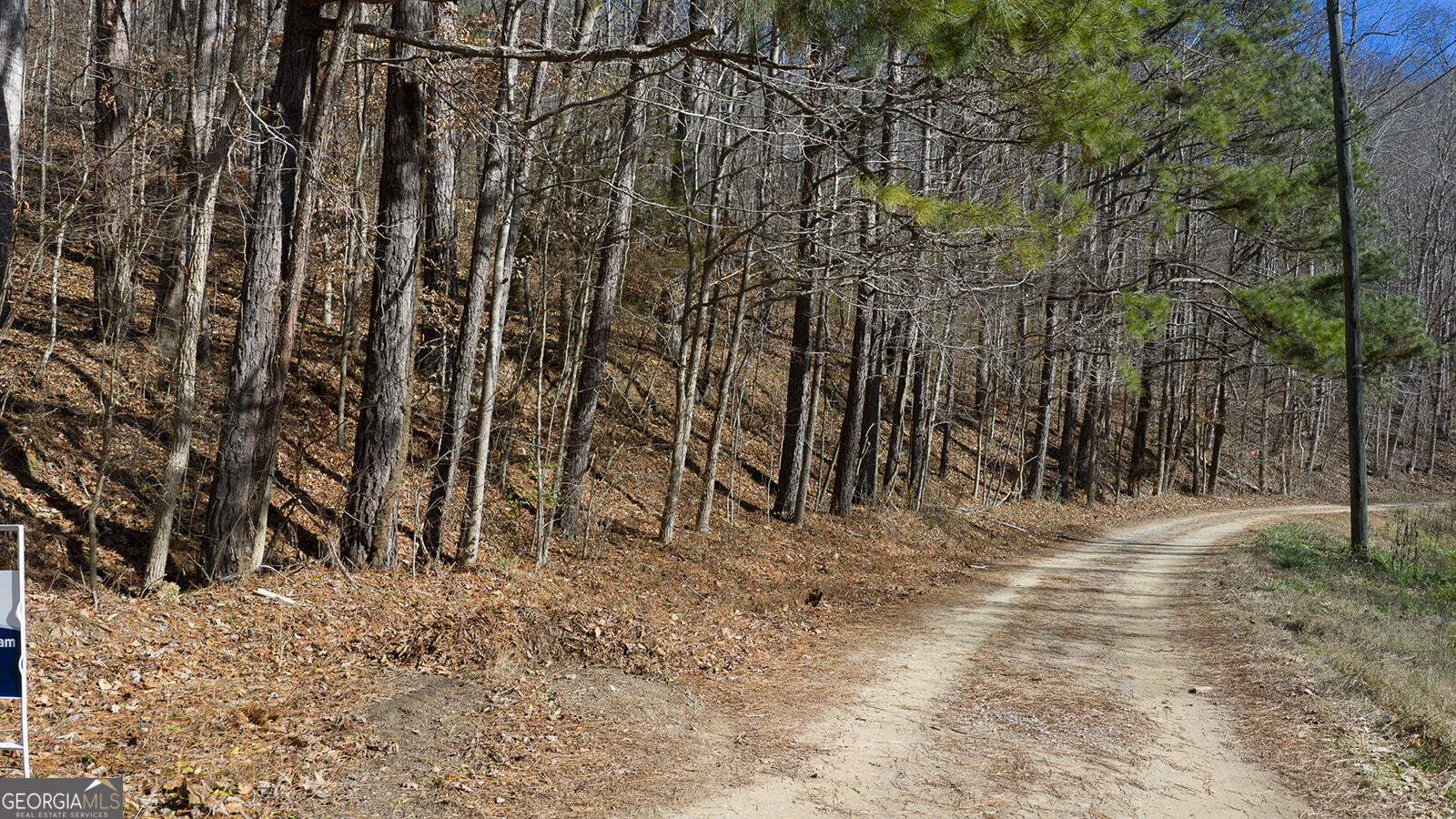 0 Rambling Road Fairmount, GA 30139 - Photo 14 of 15 a view of a backyard of the house