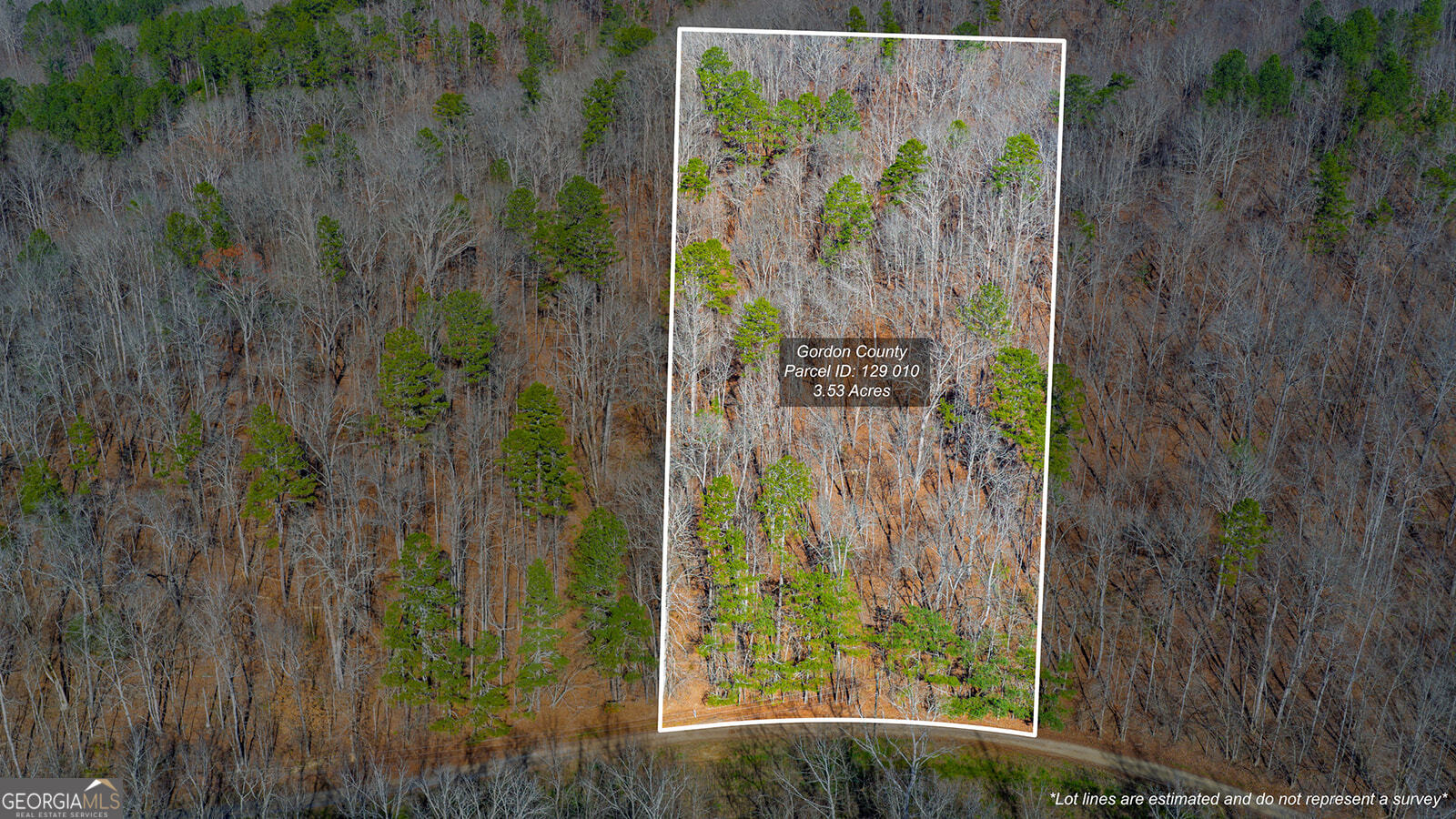 0 Rambling Road Fairmount, GA 30139 - Photo 2 of 15 a view of outdoor area with plants