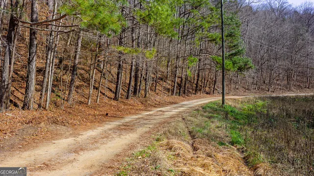 a view of a yard with large trees