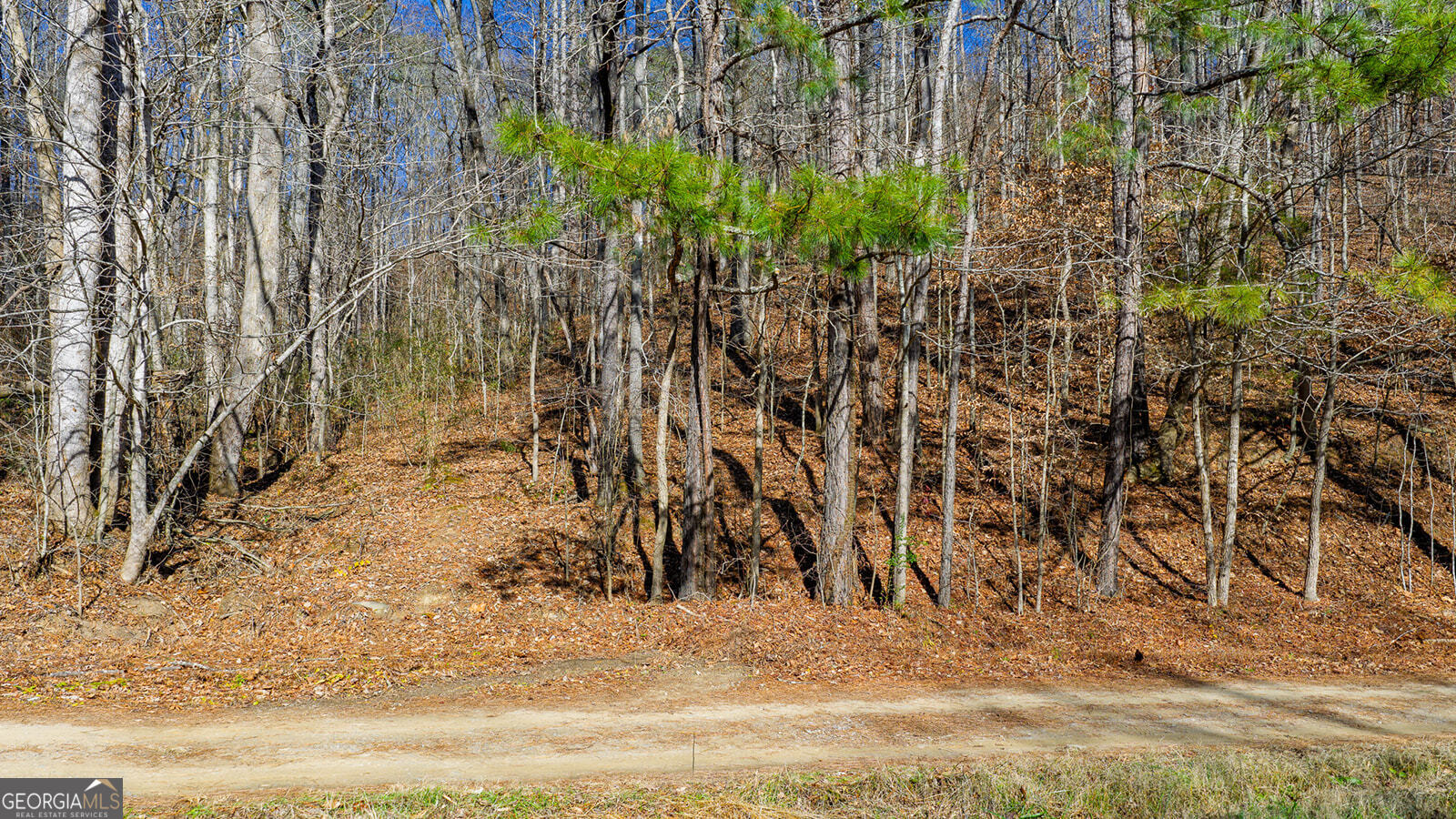 0 Rambling Road Fairmount, GA 30139 - Photo 5 of 15 a view of wooden fence