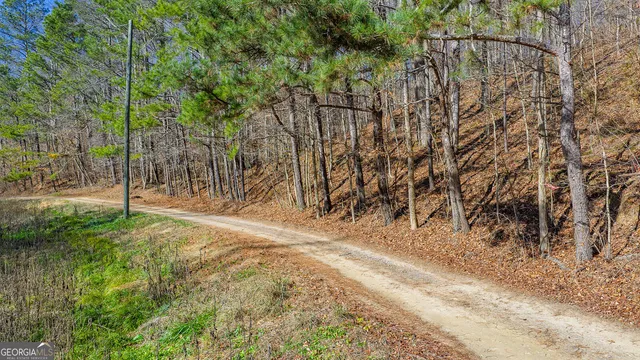 a view of empty room with tree s
