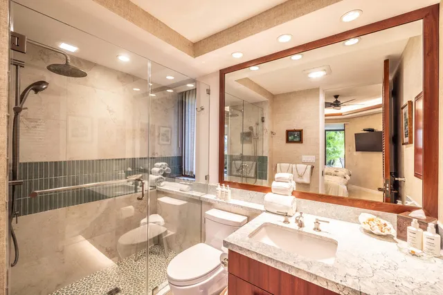 a view of a house with potted plants and a large tree