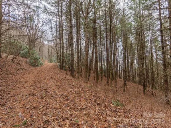 $99,500 | 0 Bald Creek Road, Clyde, NC 28721