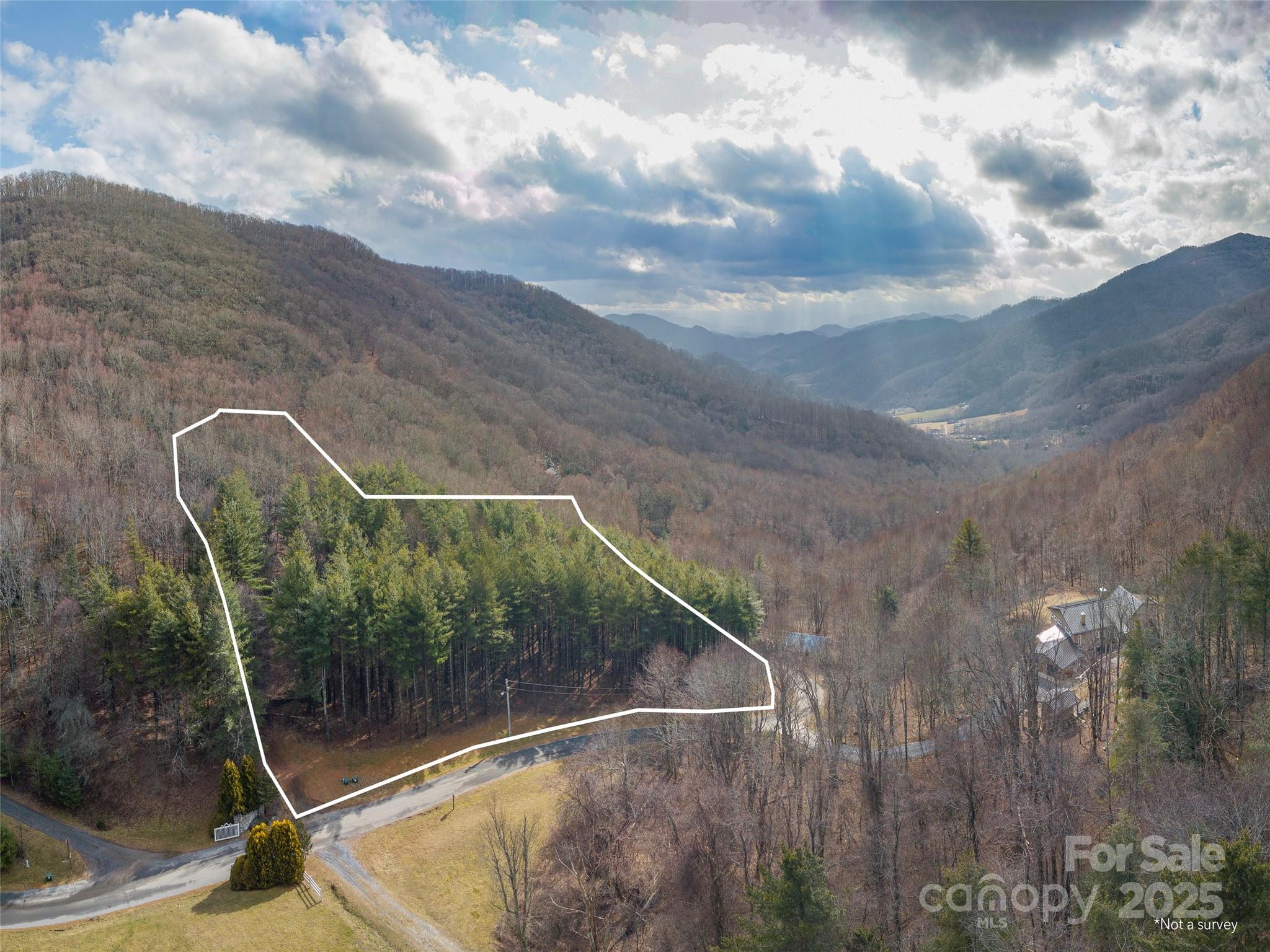 0 Bald Creek Road Clyde, NC 28721 - Photo 11 of 12