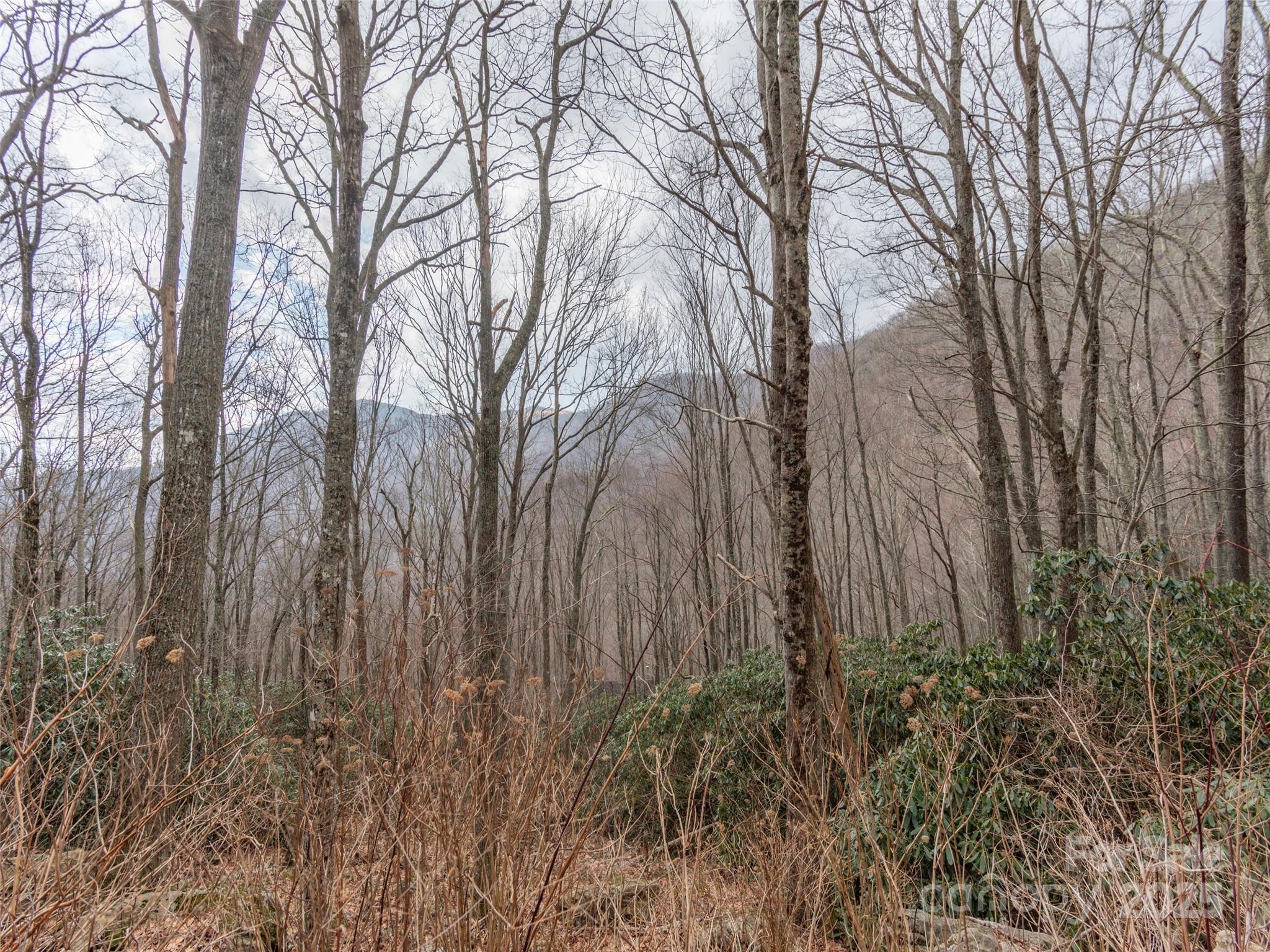 0 Bald Creek Road Clyde, NC 28721 - Photo 3 of 12