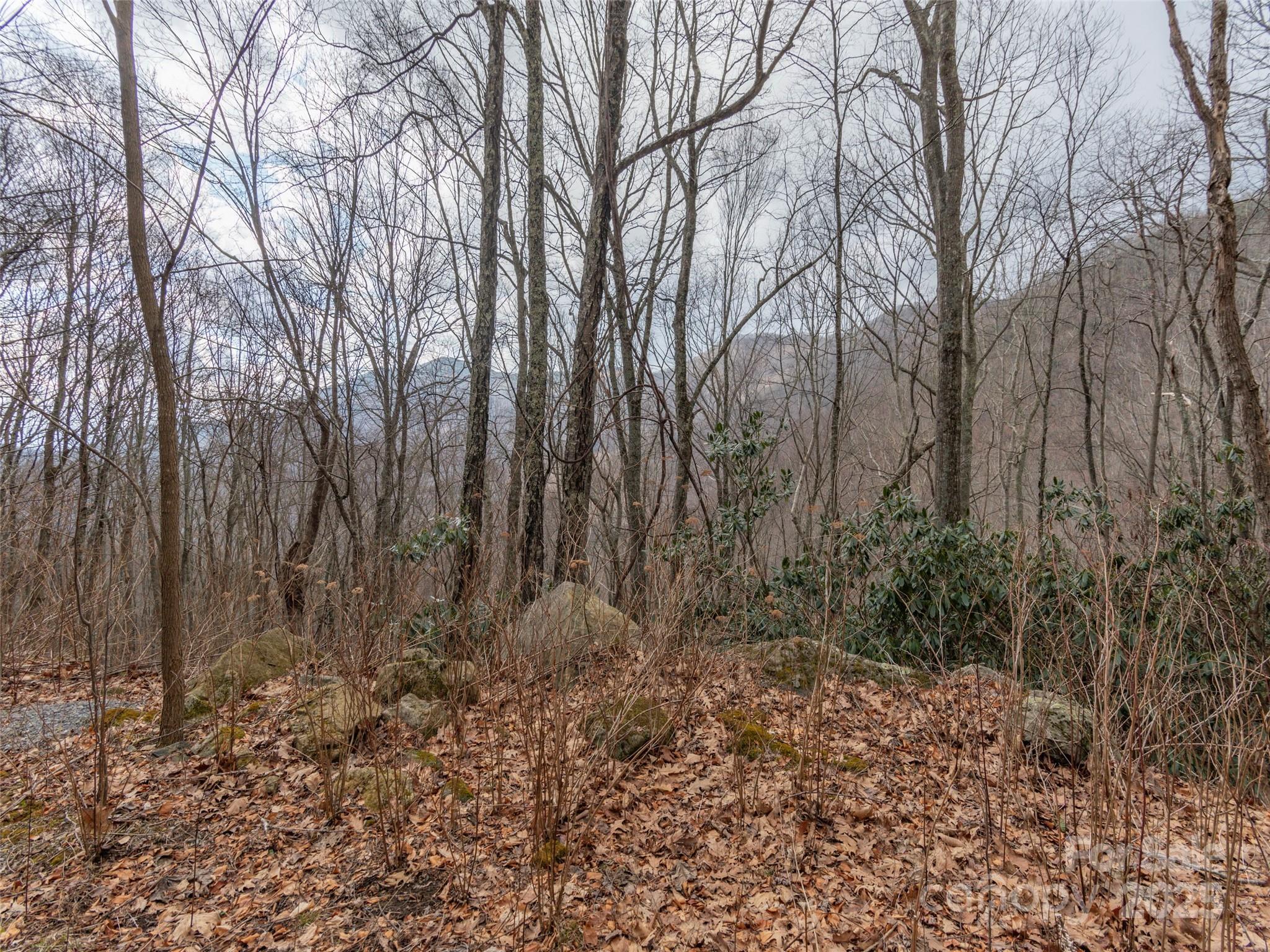 0 Bald Creek Road Clyde, NC 28721 - Photo 4 of 12