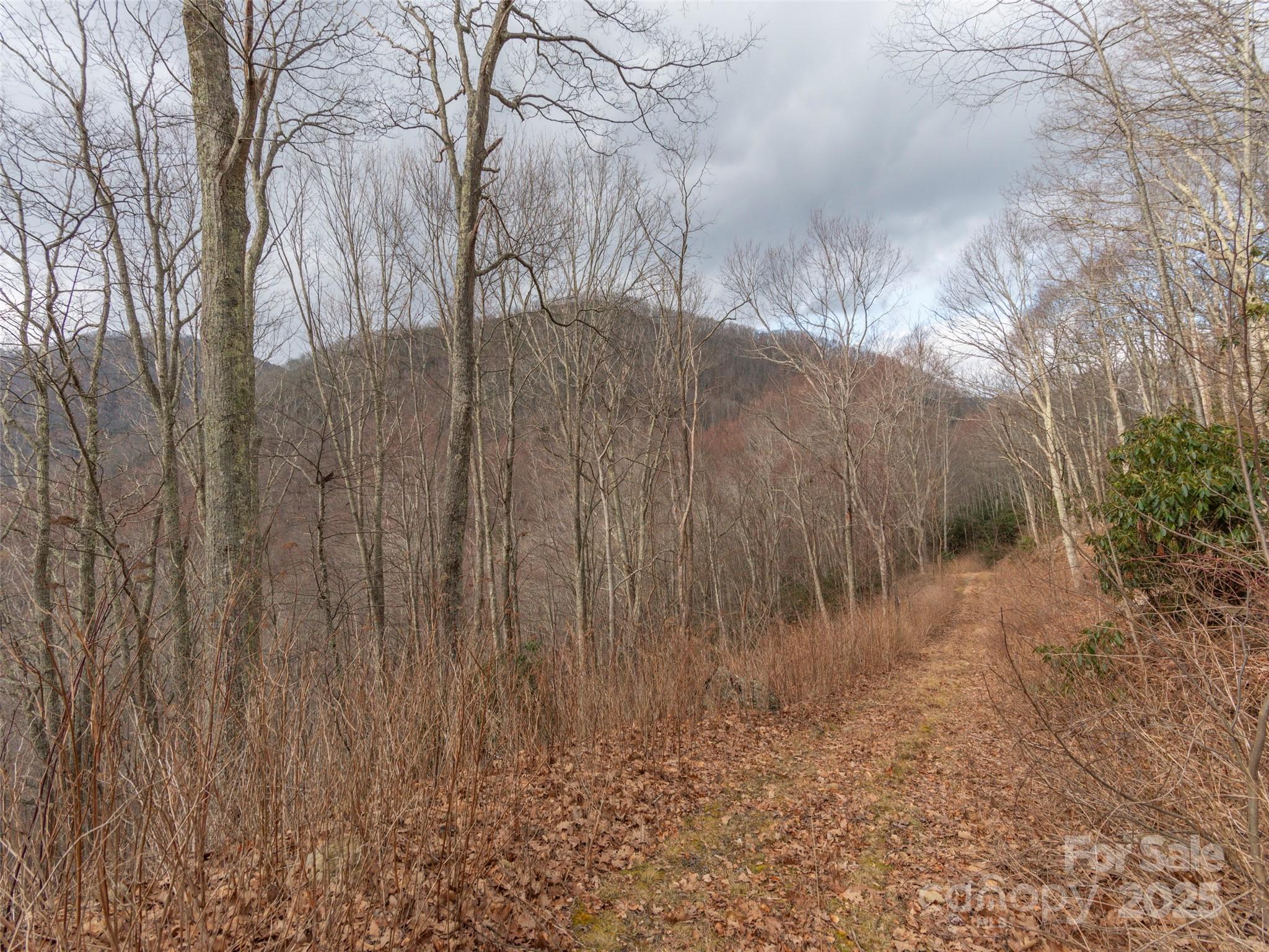 0 Bald Creek Road Clyde, NC 28721 - Photo 5 of 12