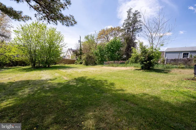 a view of a park with large trees