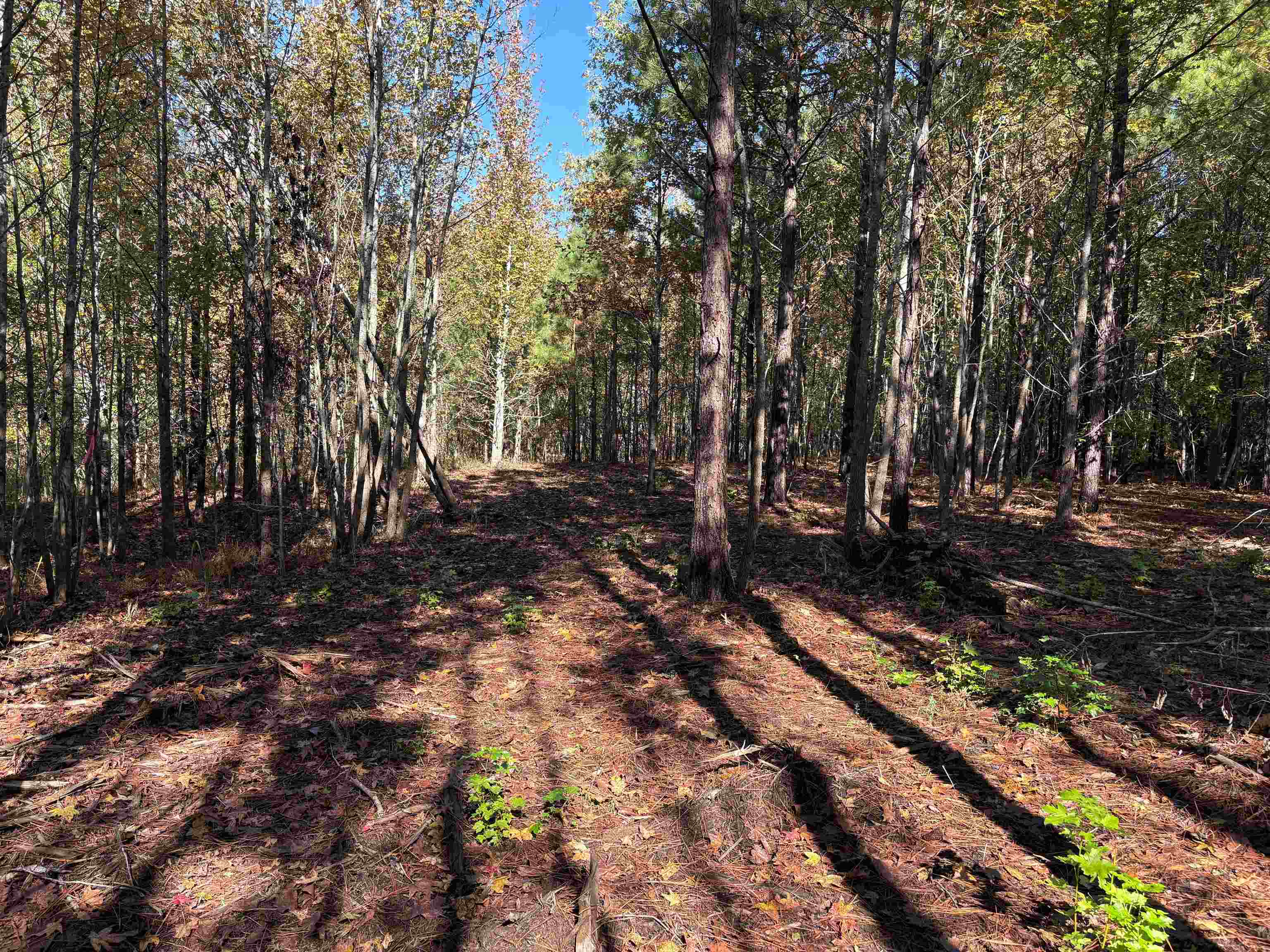 0 Bethuel Road, Unit 13 Millington, TN 38053 - Photo 7 of 15