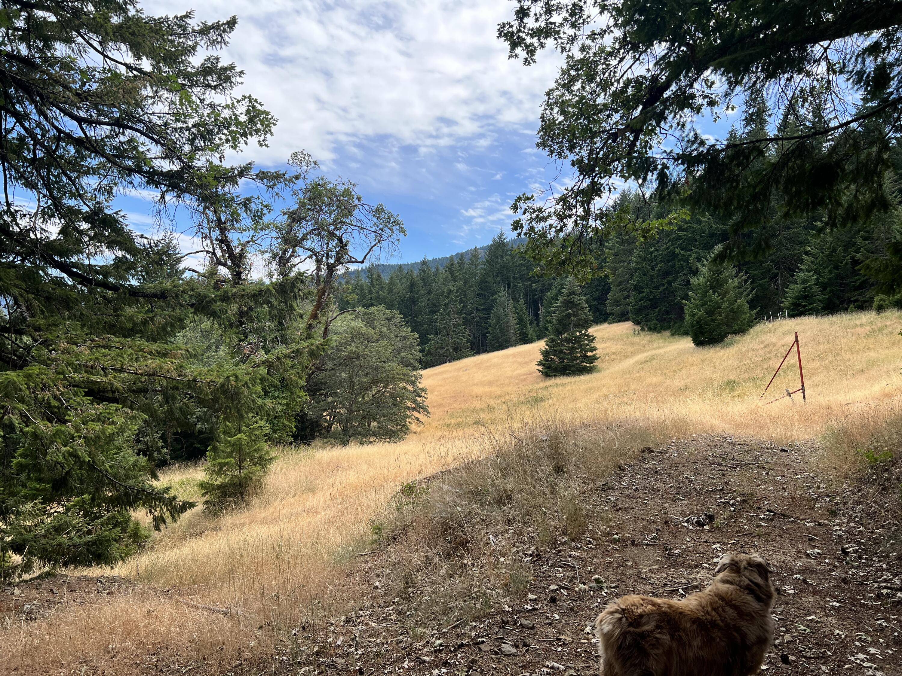 0 Stapp Road Kneeland, CA 95549 - Photo 2 of 13
